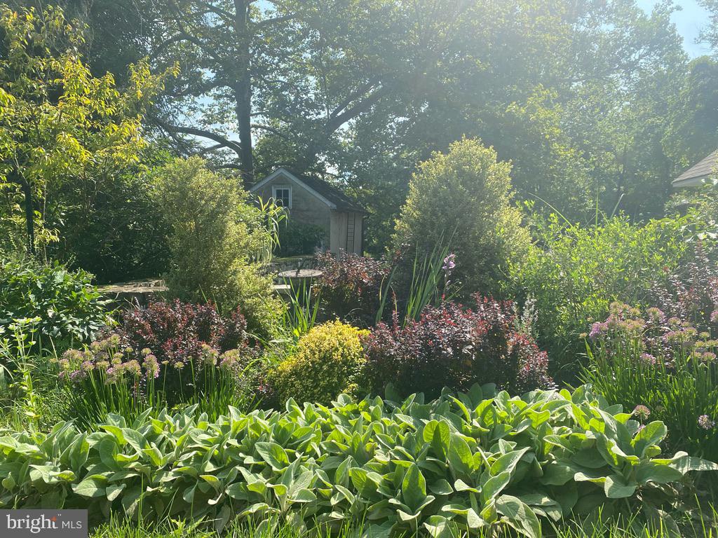 YELLOW SPRINGS - Residential