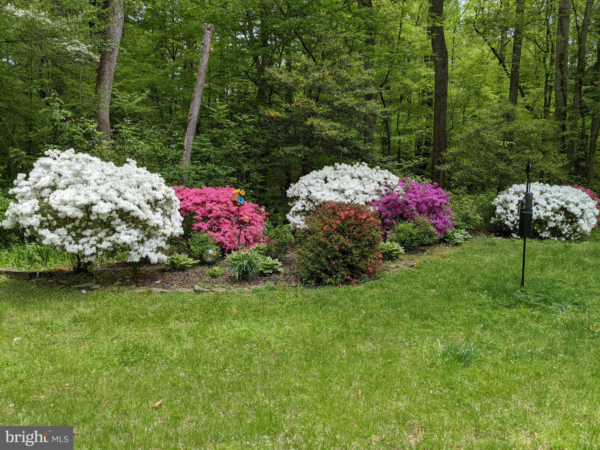 ROSEHILL - Residential