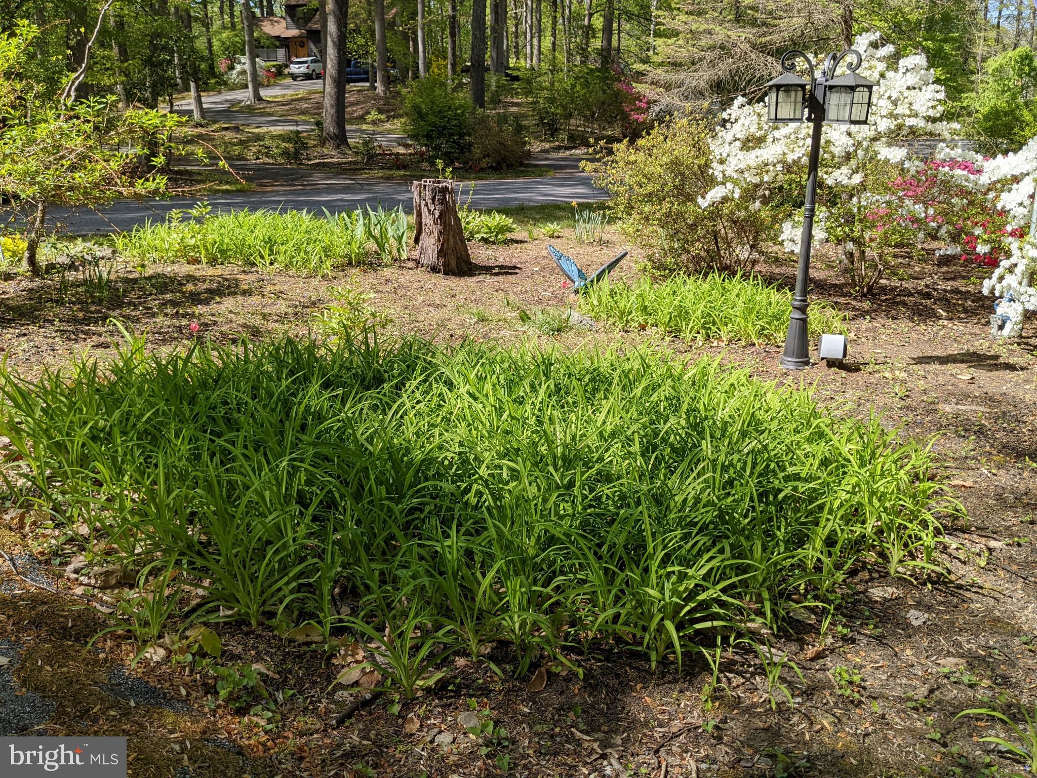 ROSEHILL - Residential