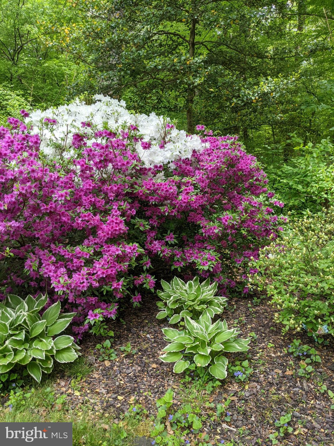 ROSEHILL - Residential