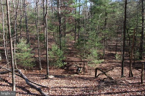 Vacant Land For Sale - Rolly Road<br/> MOUNT JACKSON, VA 22842