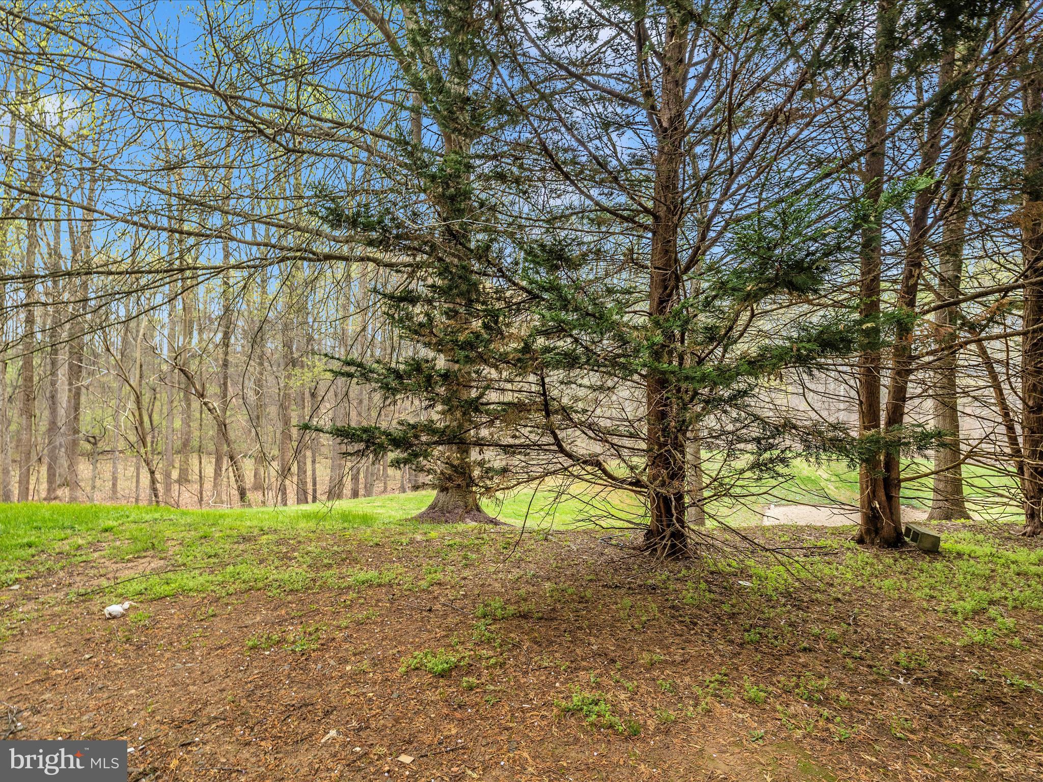 KINGSVIEW RIDGE - Residential