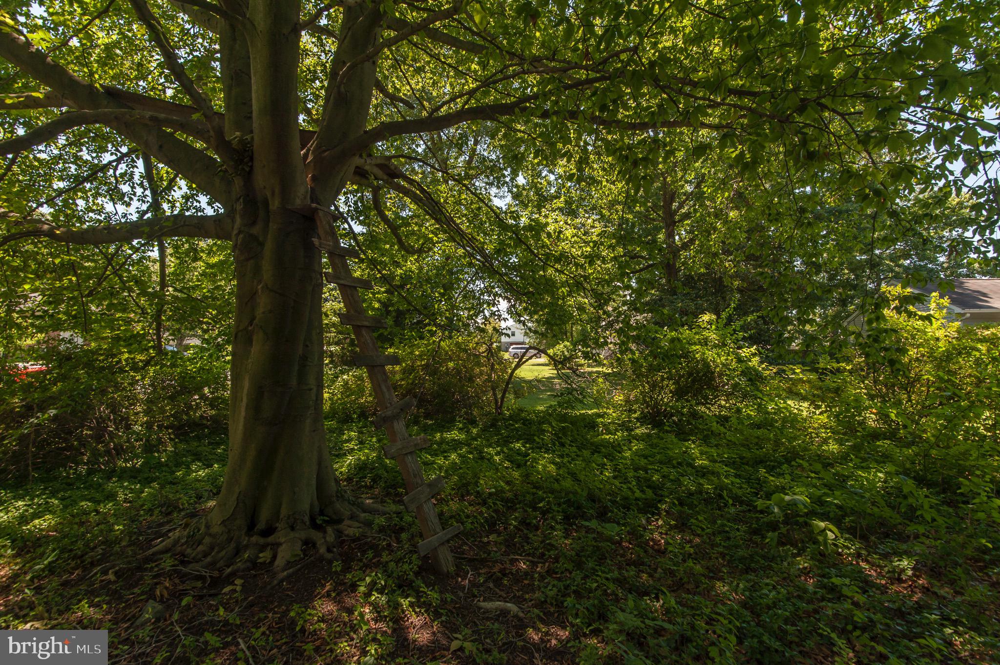 WESTCHESTER - Residential