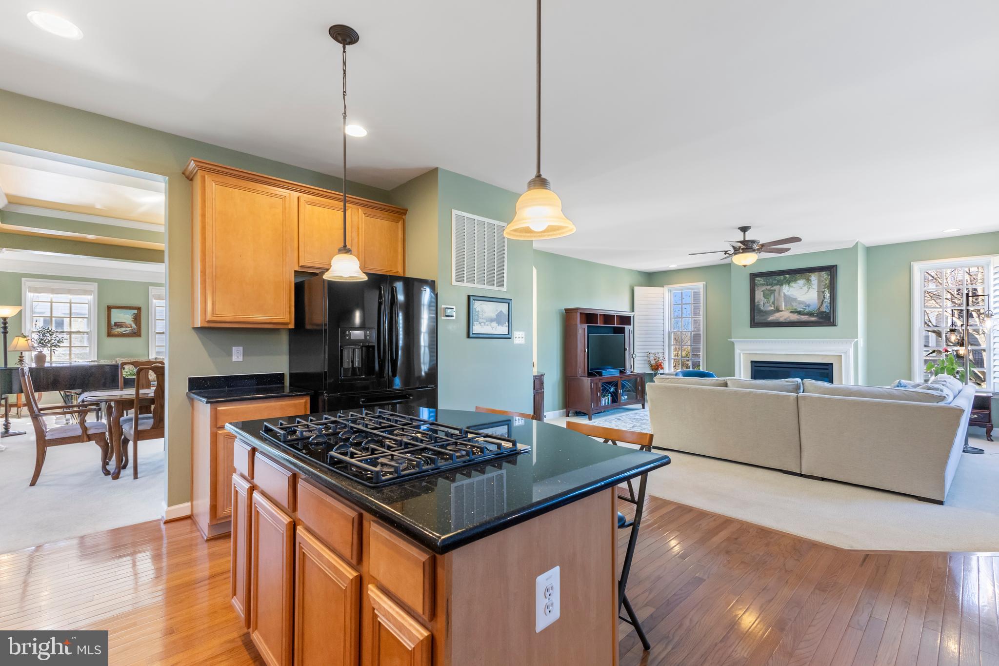 NEW BRISTOW VILLAGE - Residential