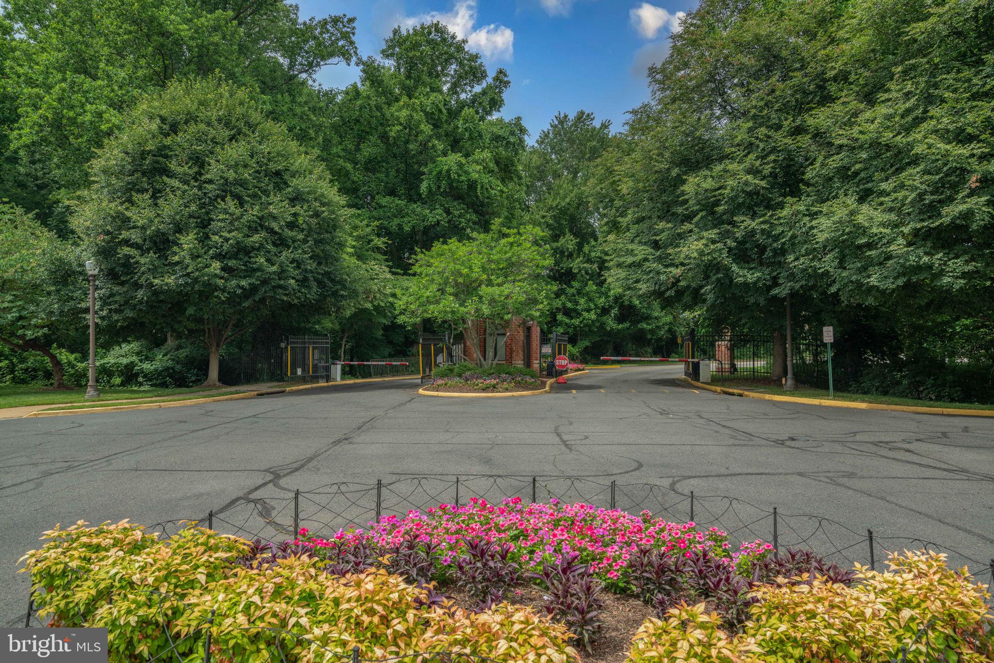 RENAISSANCE - Residential