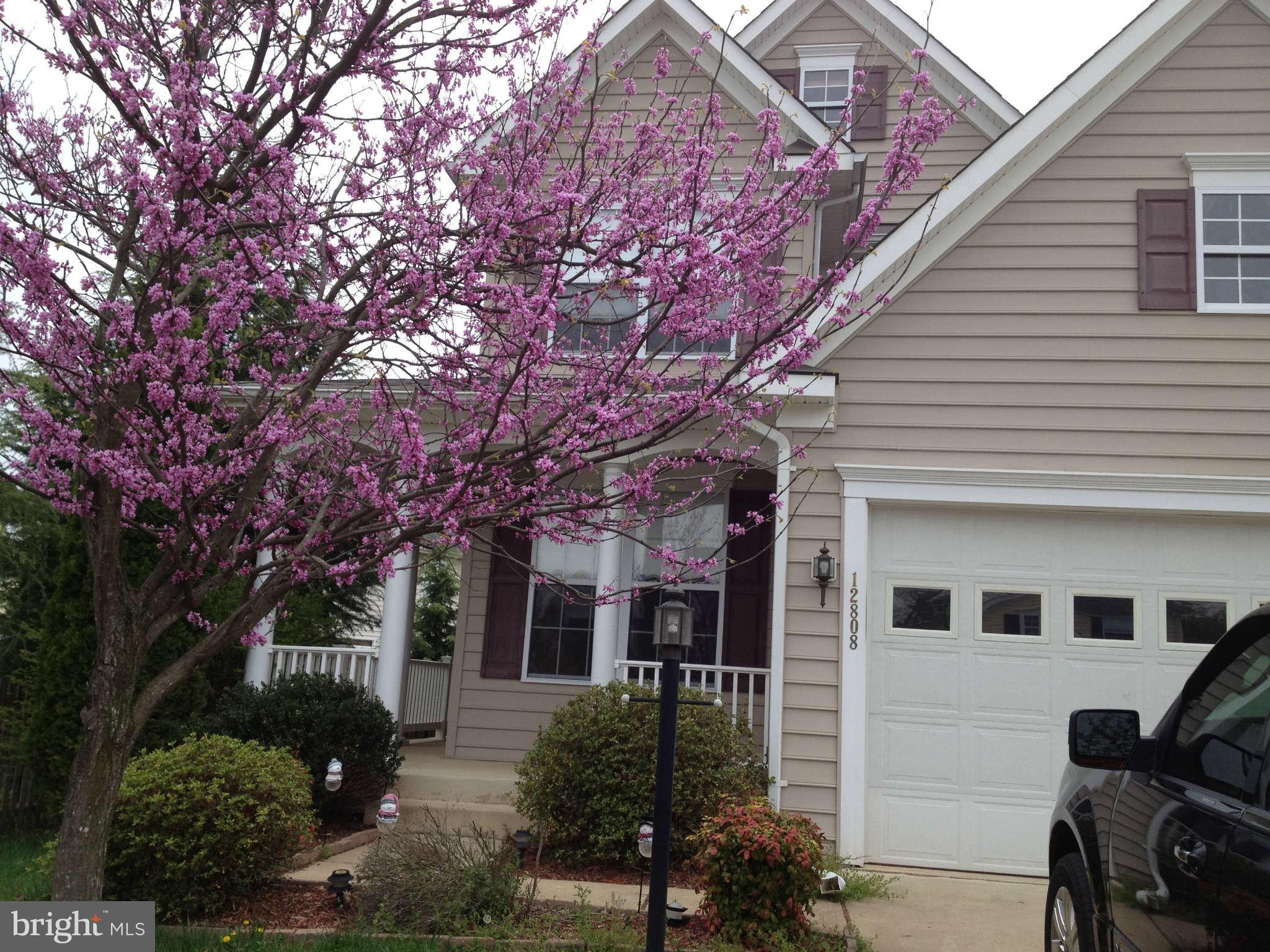 OAKLANDS - Residential Lease