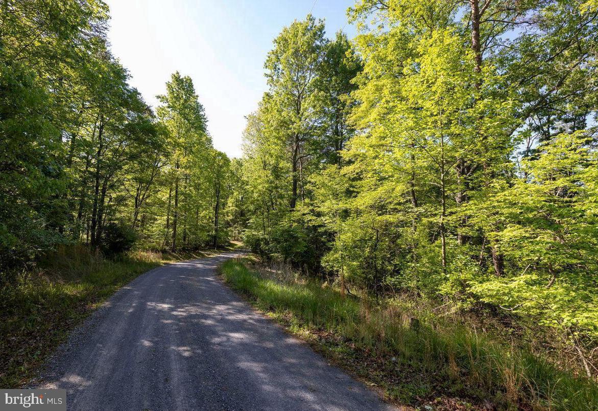 SHENANDOAH  RIVER BEND - Land