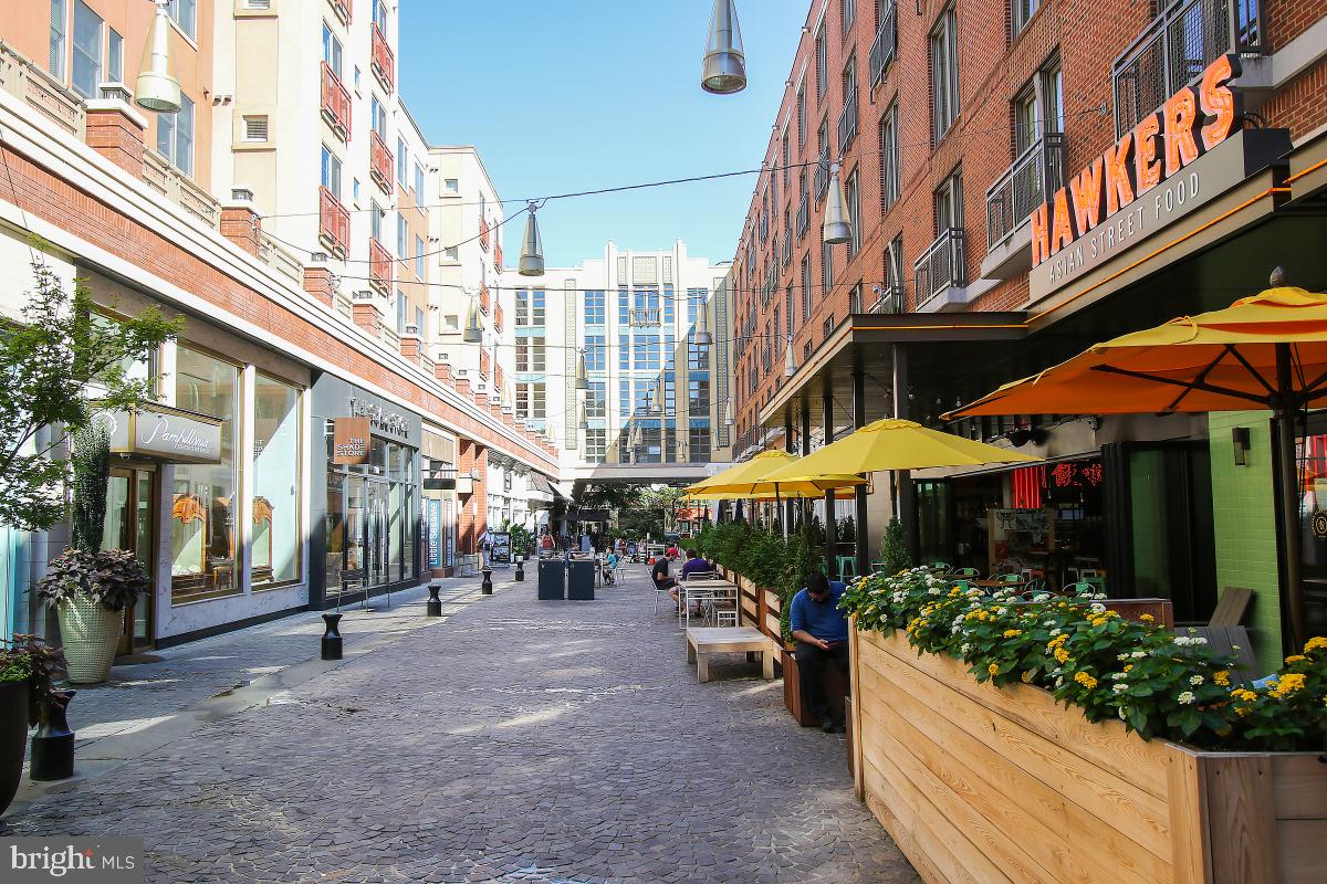 SUSSEX HOUSE - Residential