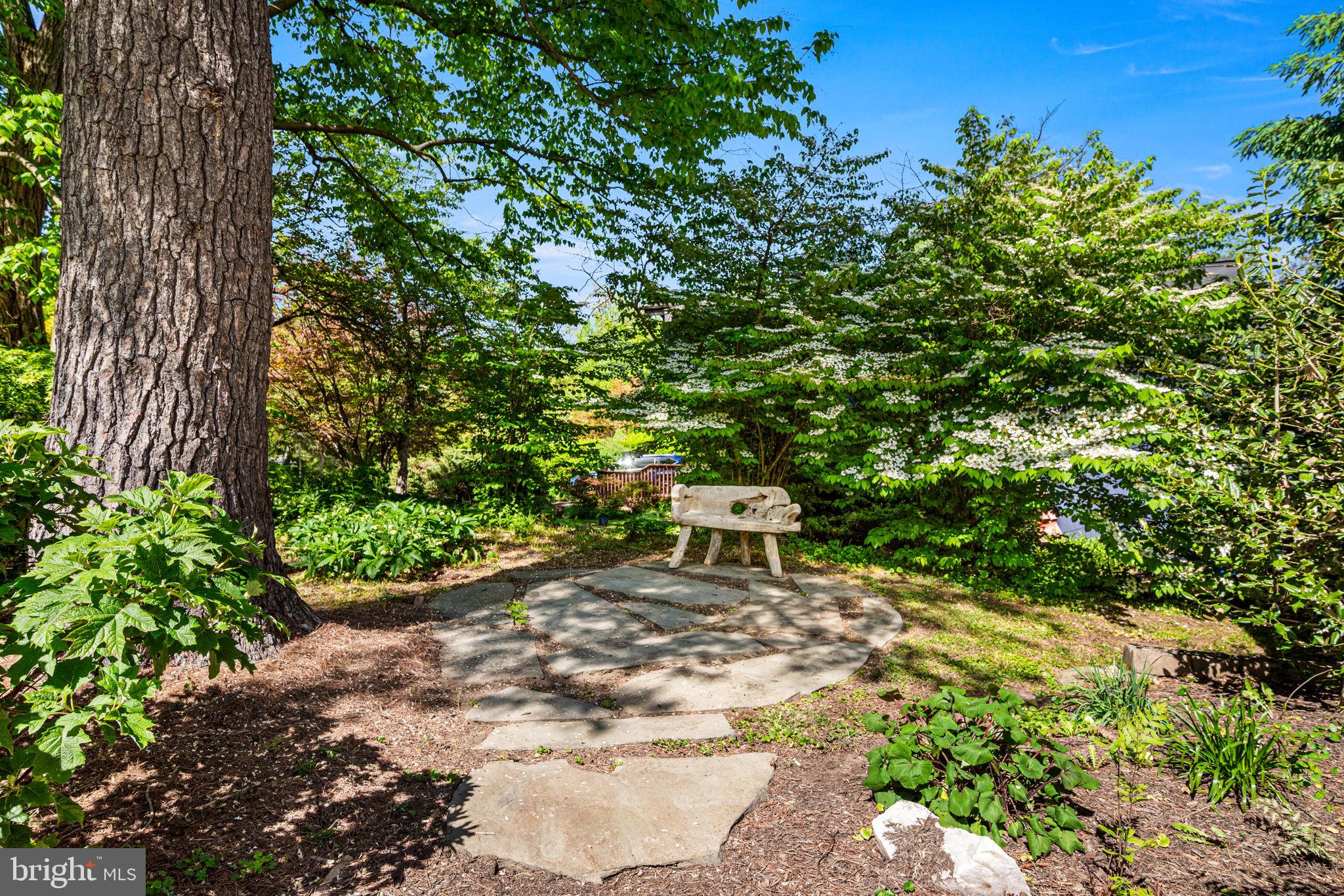CHESTNUT HILL - Residential