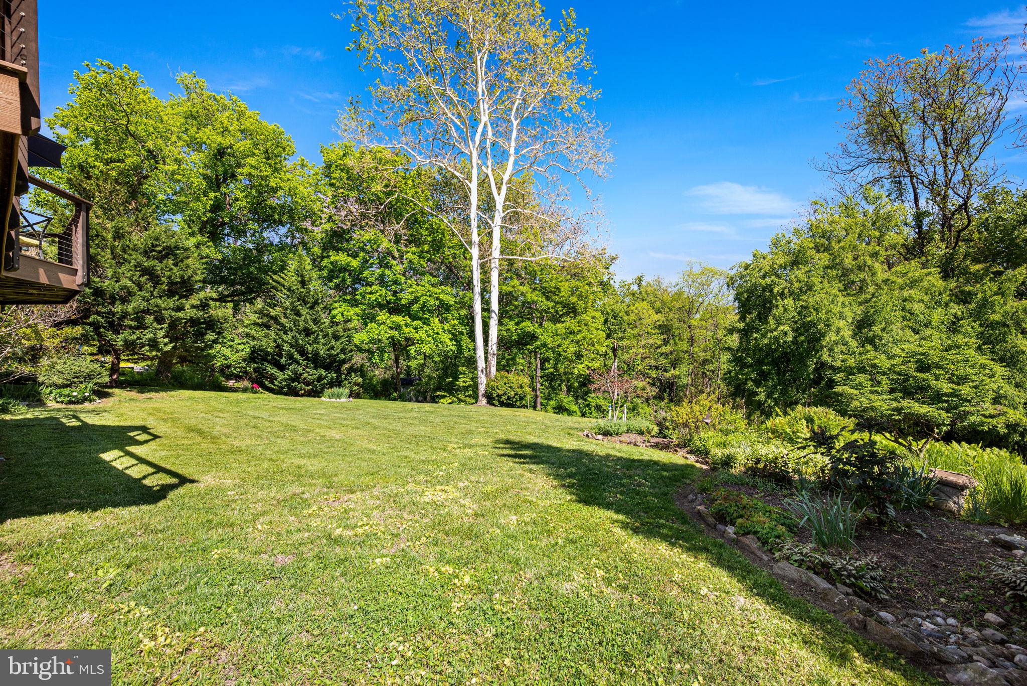 CHESTNUT HILL - Residential