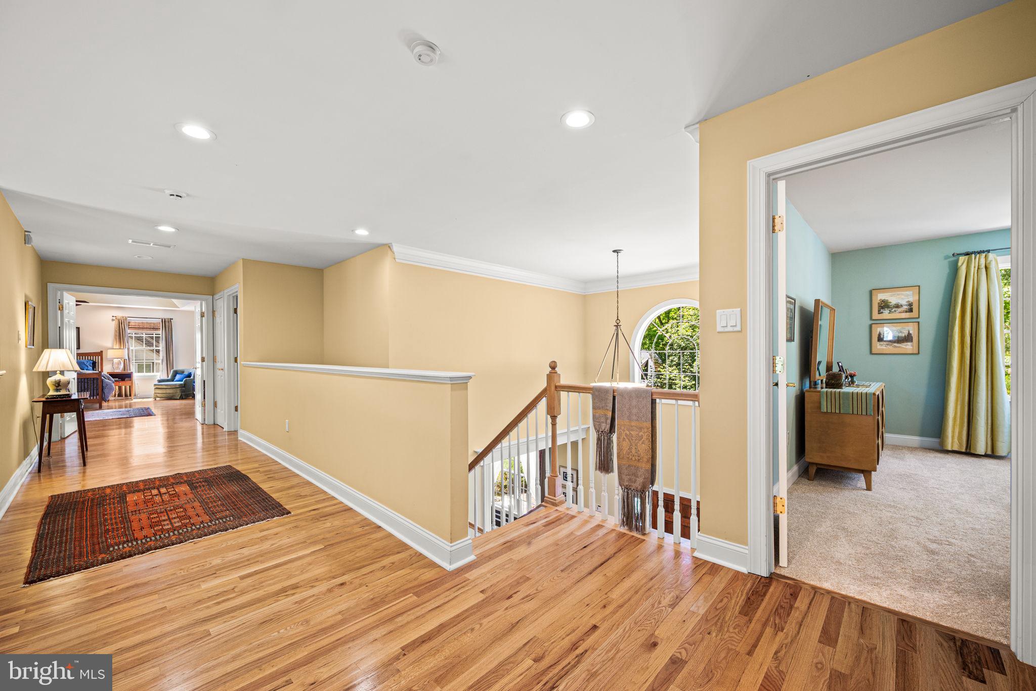 CHESTNUT HILL - Residential