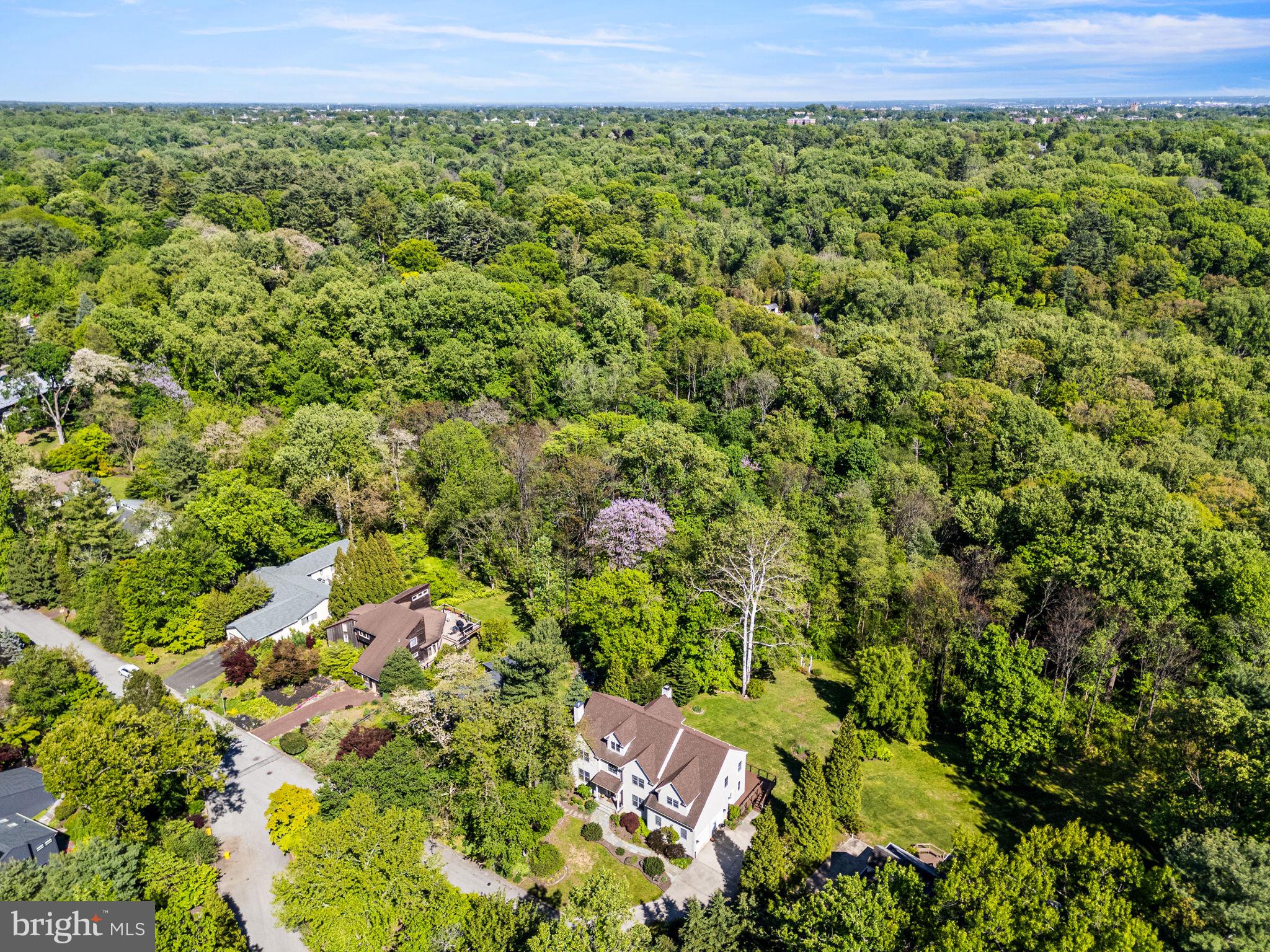CHESTNUT HILL - Residential