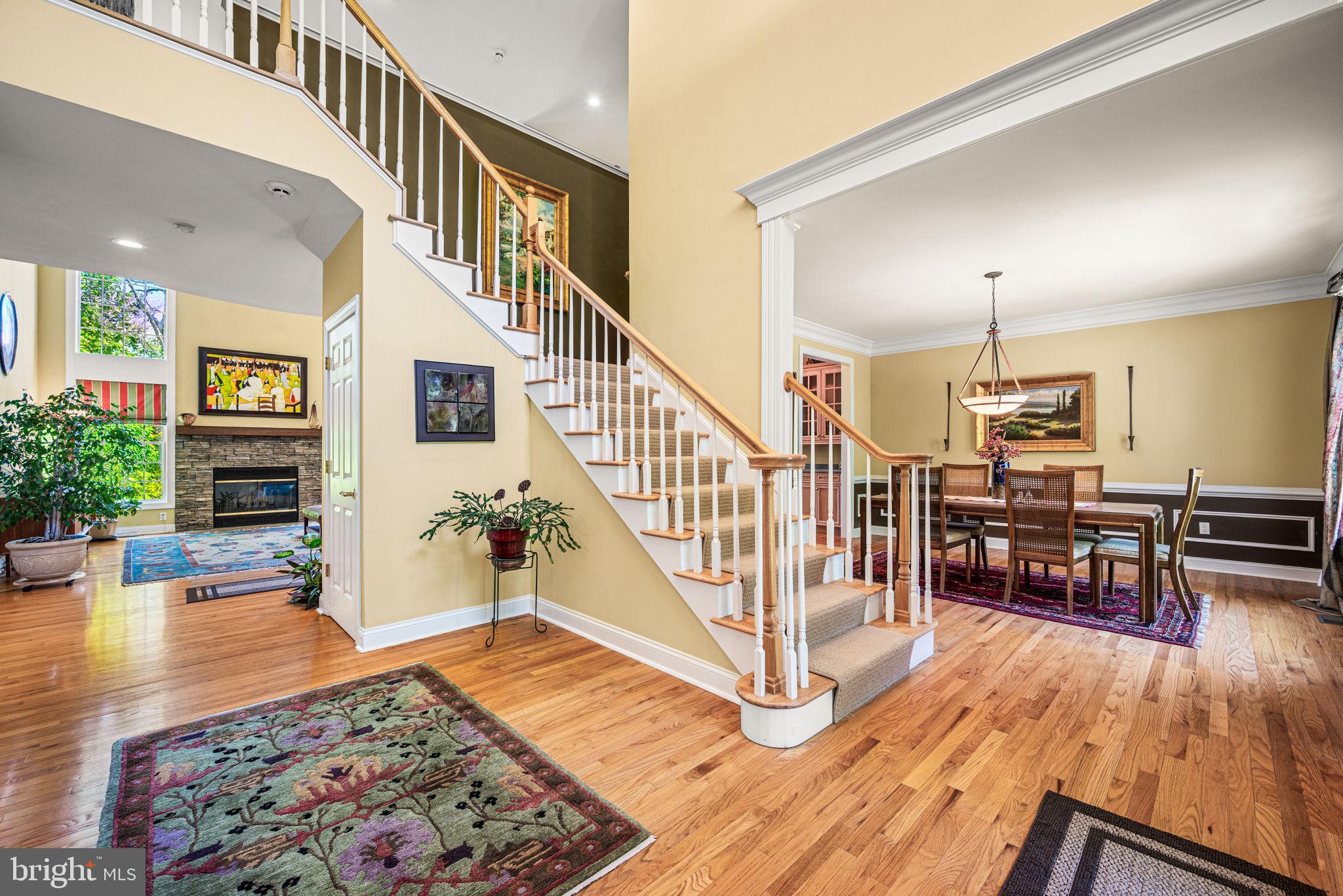 CHESTNUT HILL - Residential