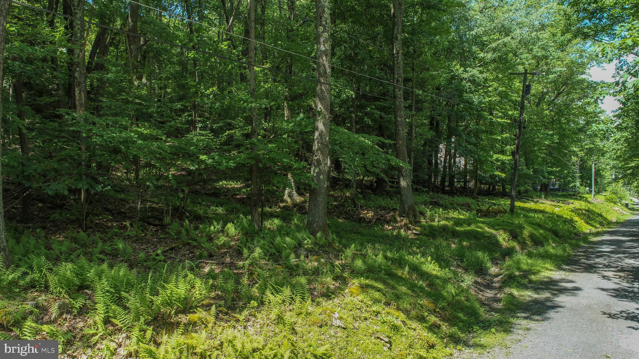 ROMAN NOSE SPA - Land