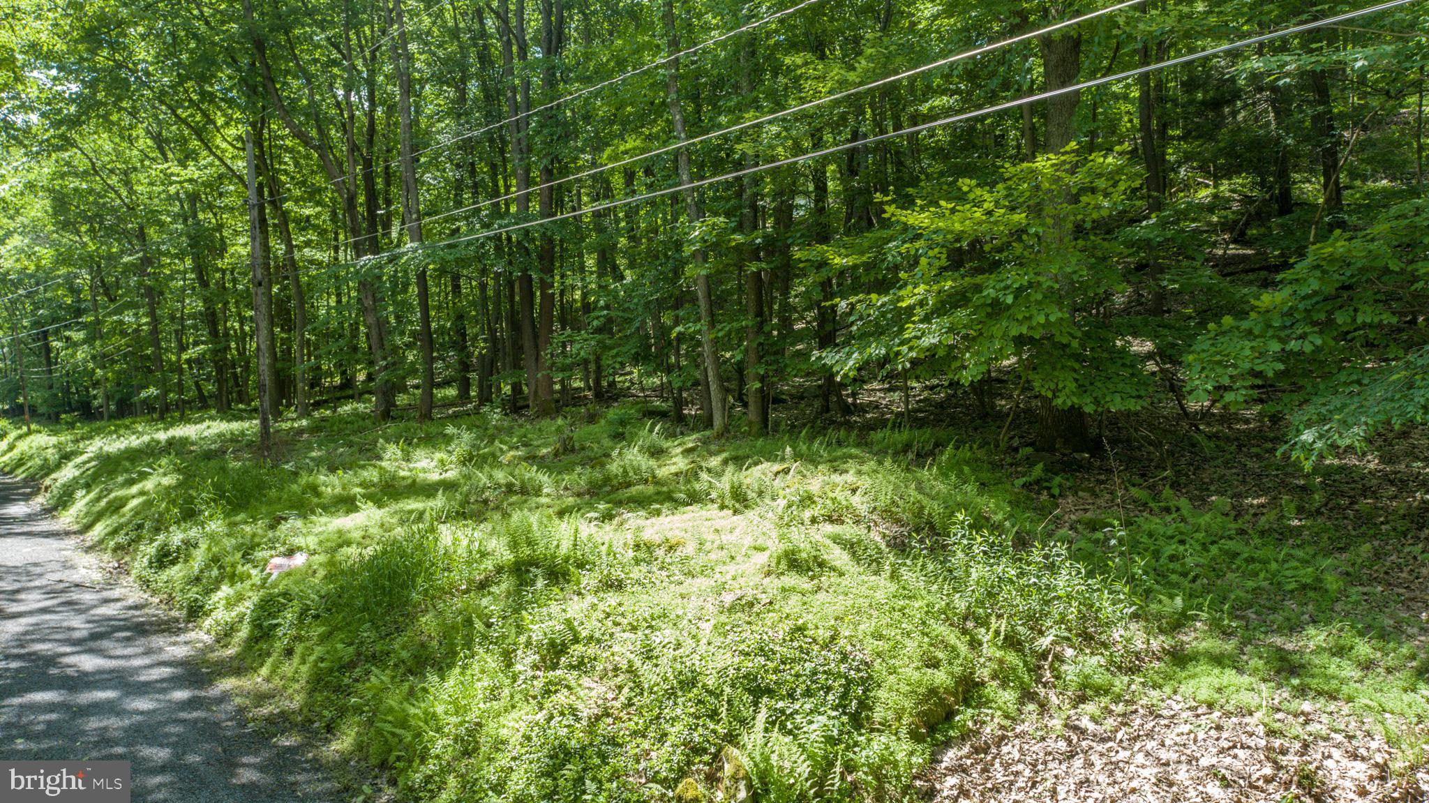 ROMAN NOSE SPA - Land