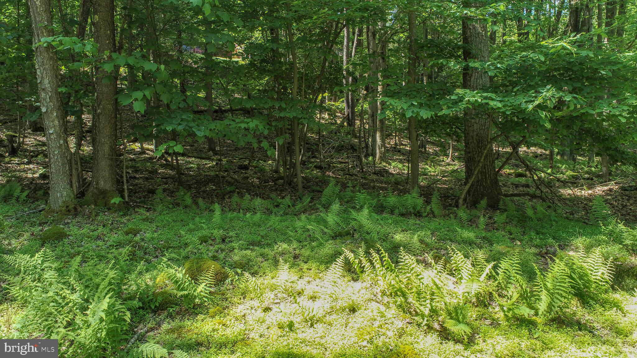 ROMAN NOSE SPA - Land