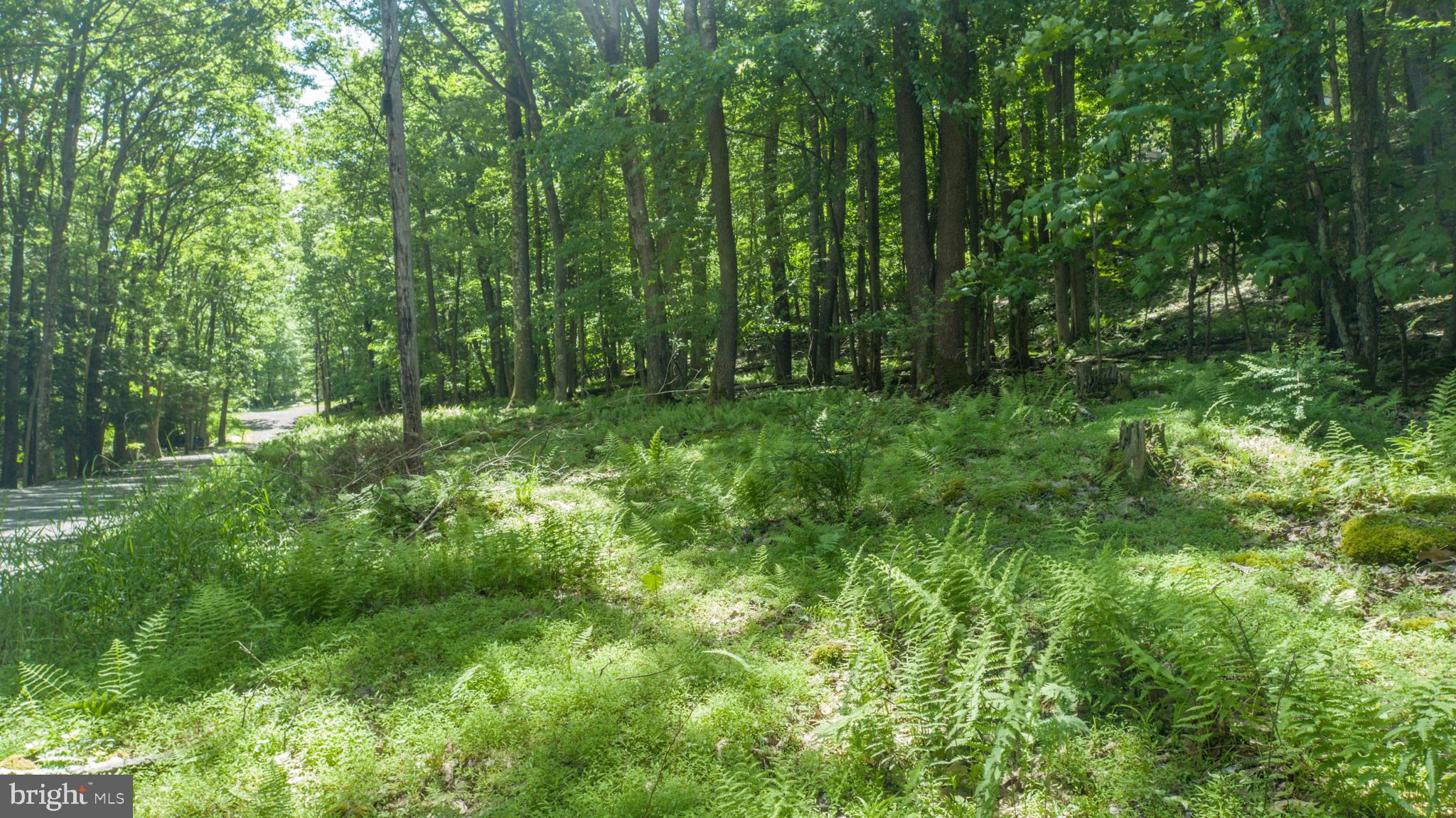 ROMAN NOSE SPA - Land