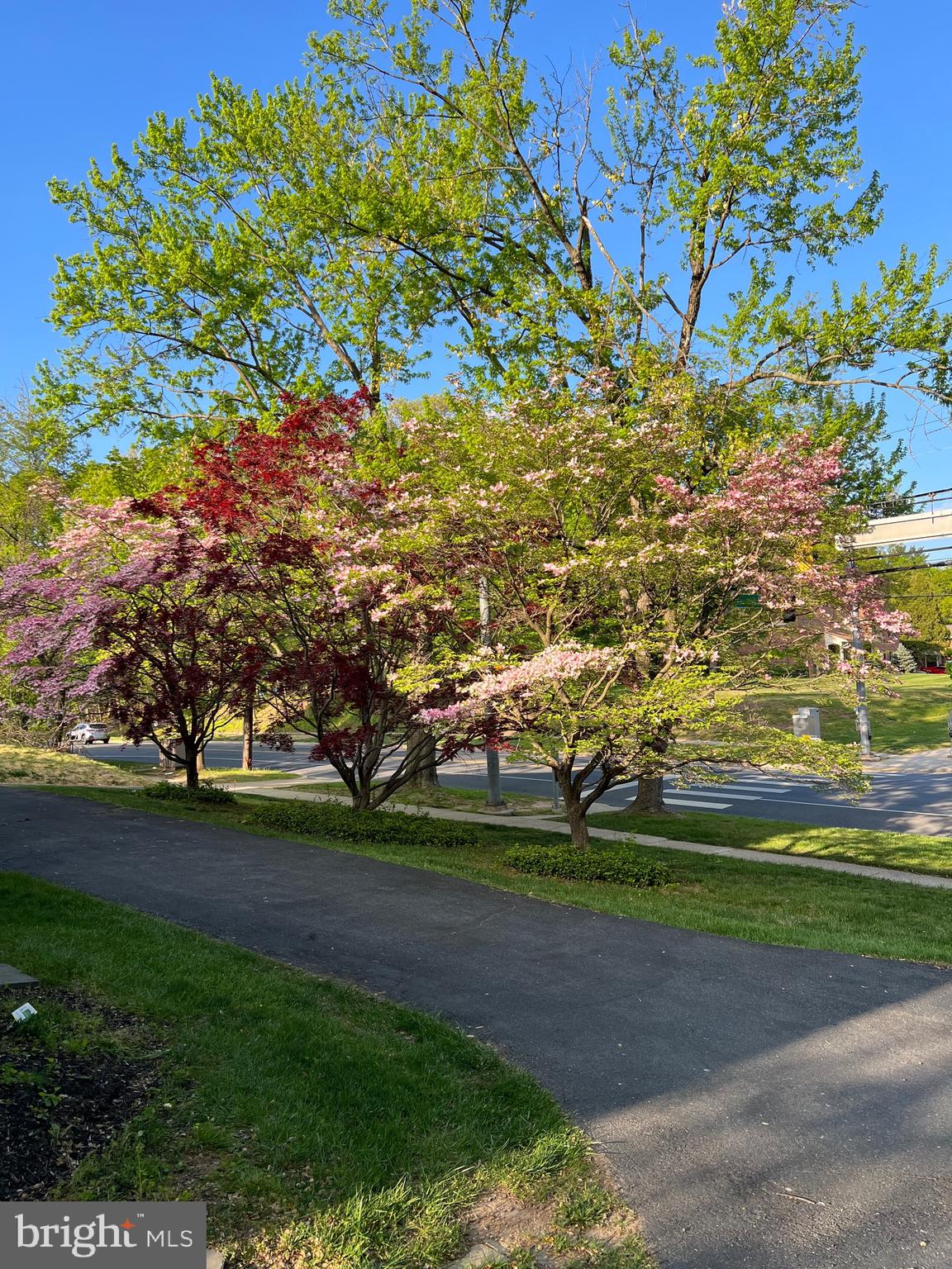 KEMP MILL FARMS - Residential