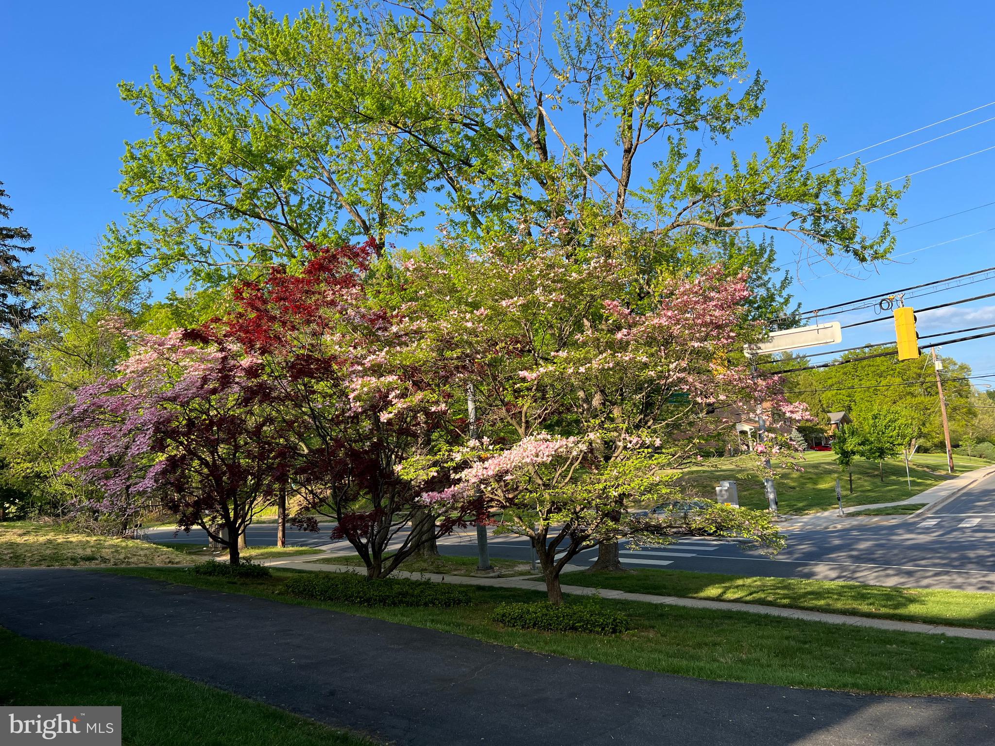 KEMP MILL FARMS - Residential