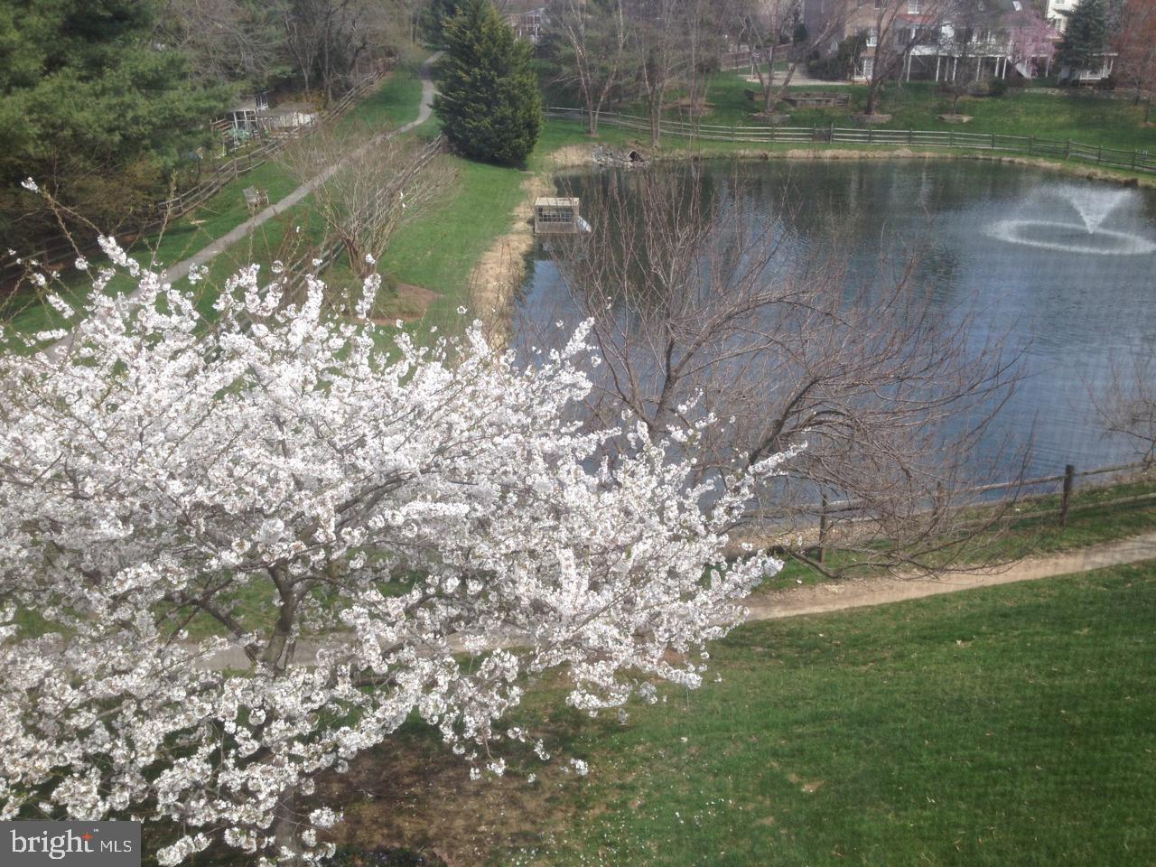 FALLSWICK - Residential Lease