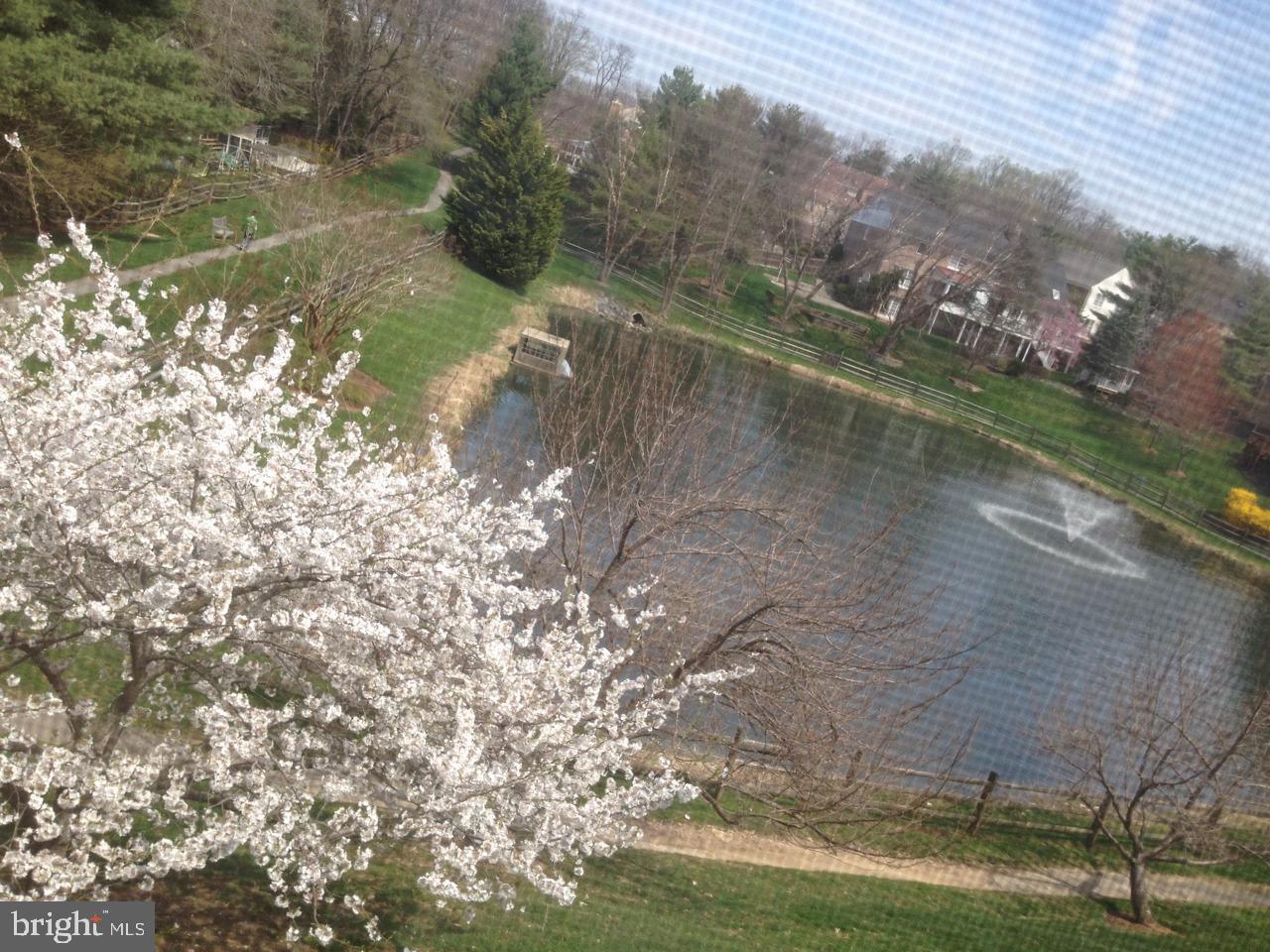 FALLSWICK - Residential Lease