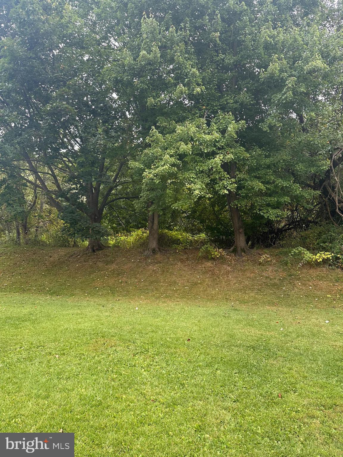 FOXBOROUGH FARMS - Residential