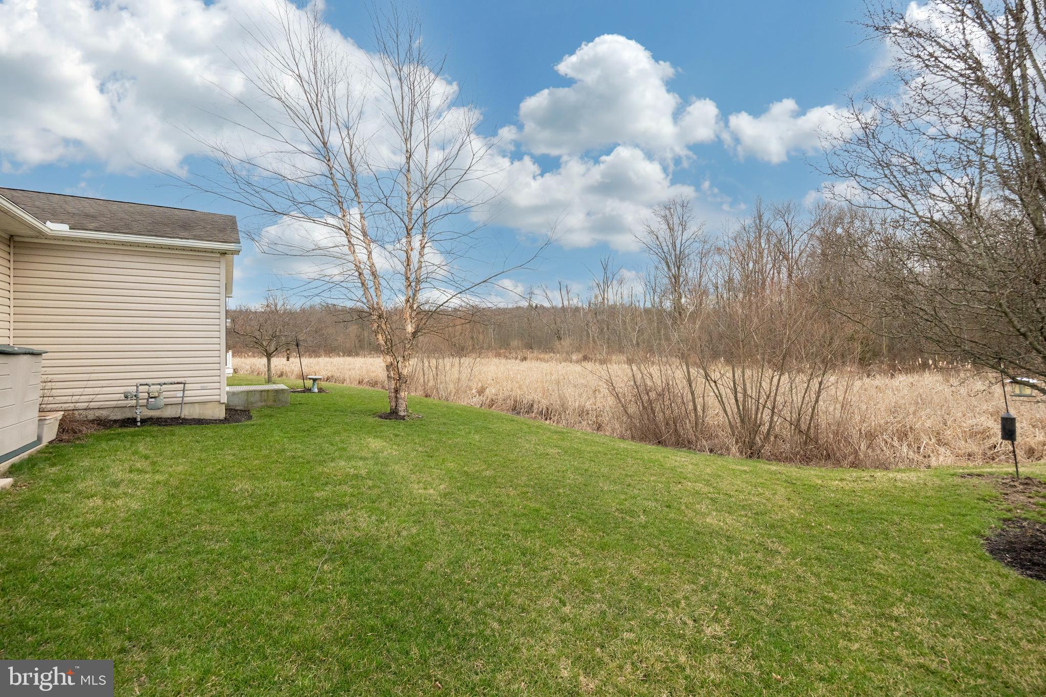 SPRING VALLEY VILLAG - Residential