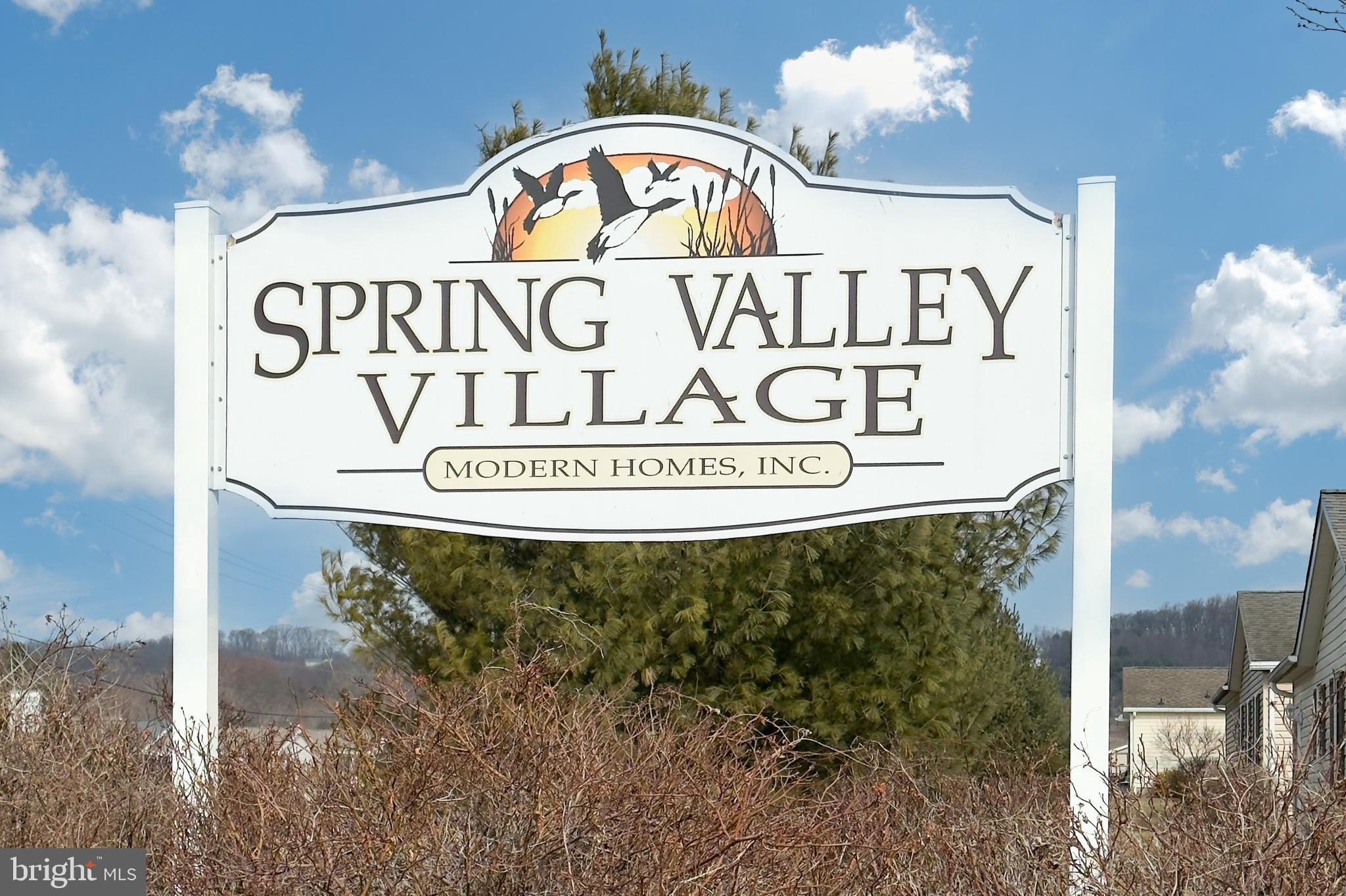 SPRING VALLEY VILLAG - Residential