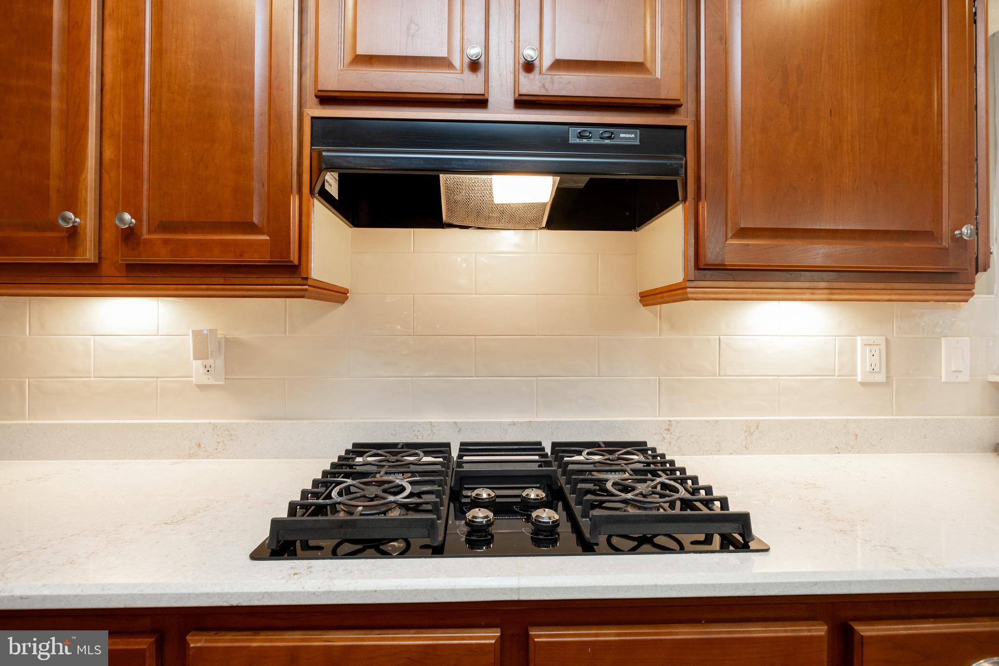 SPRING VALLEY VILLAG - Residential