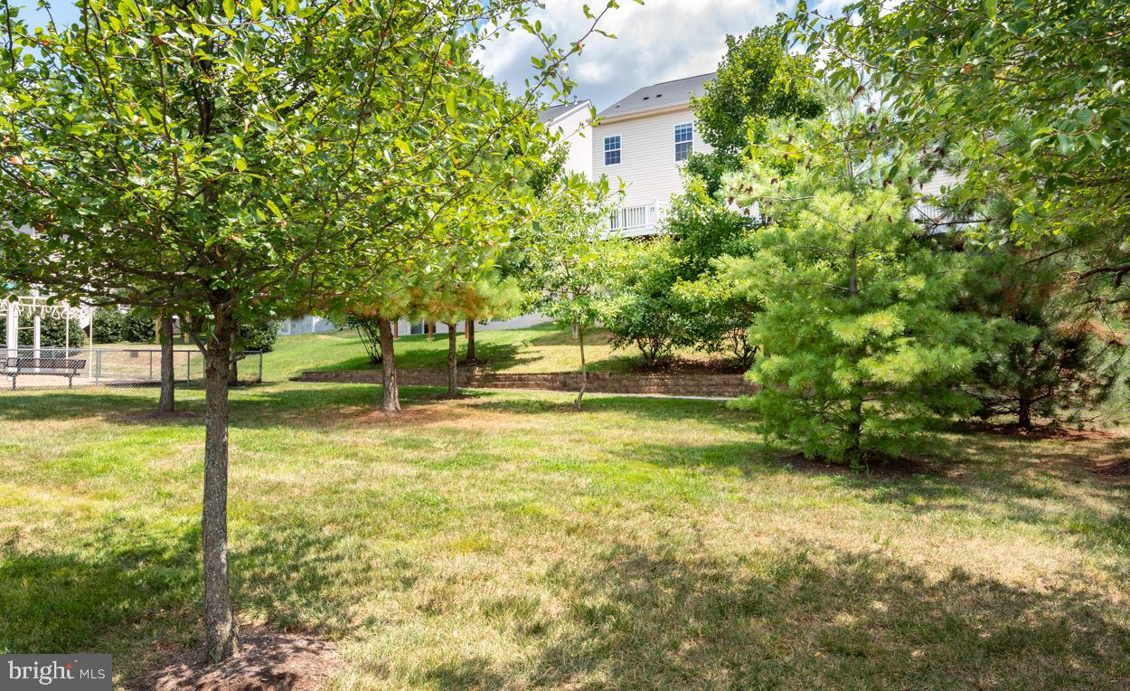 BARNES - Residential