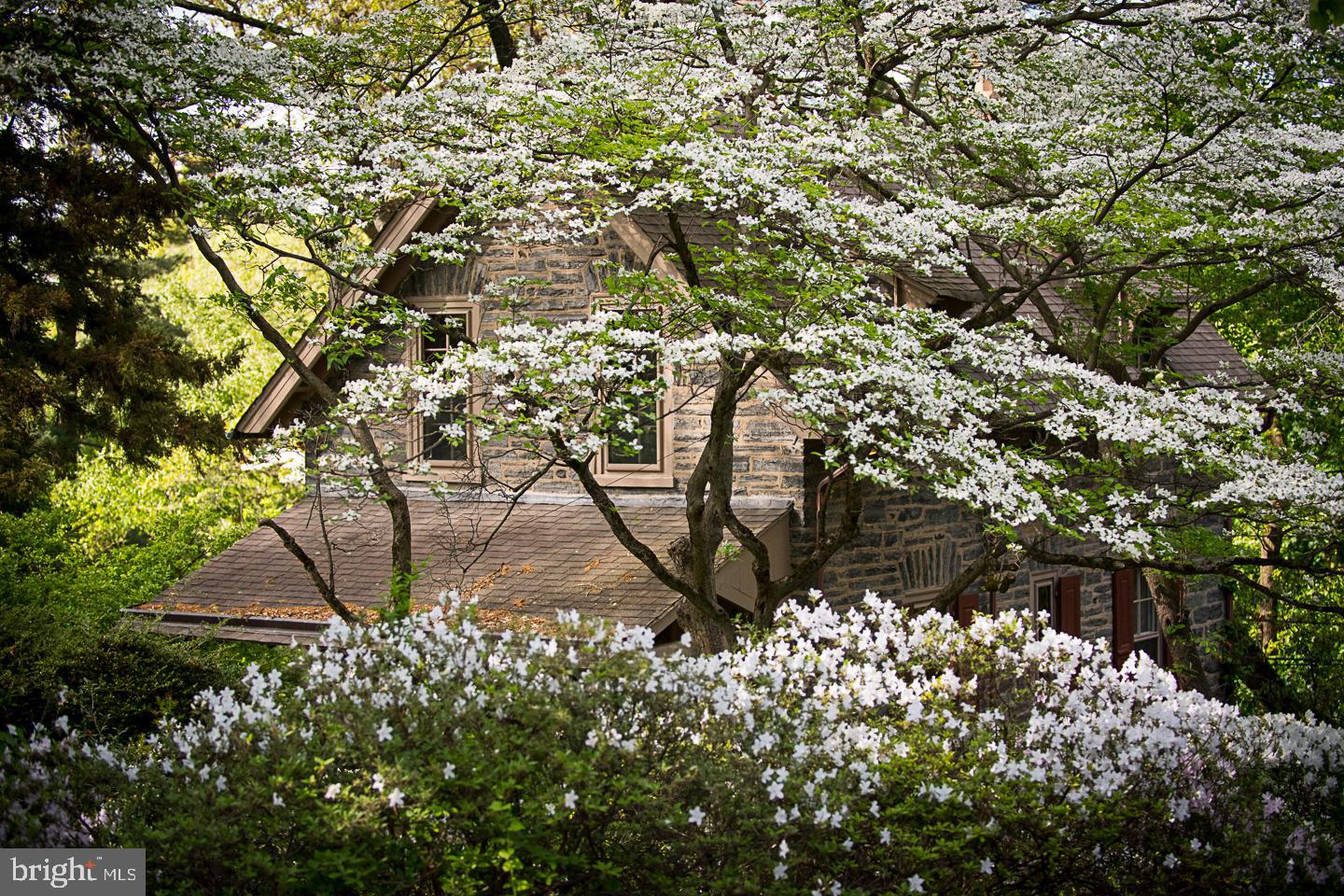CHESTNUT HILL - Residential
