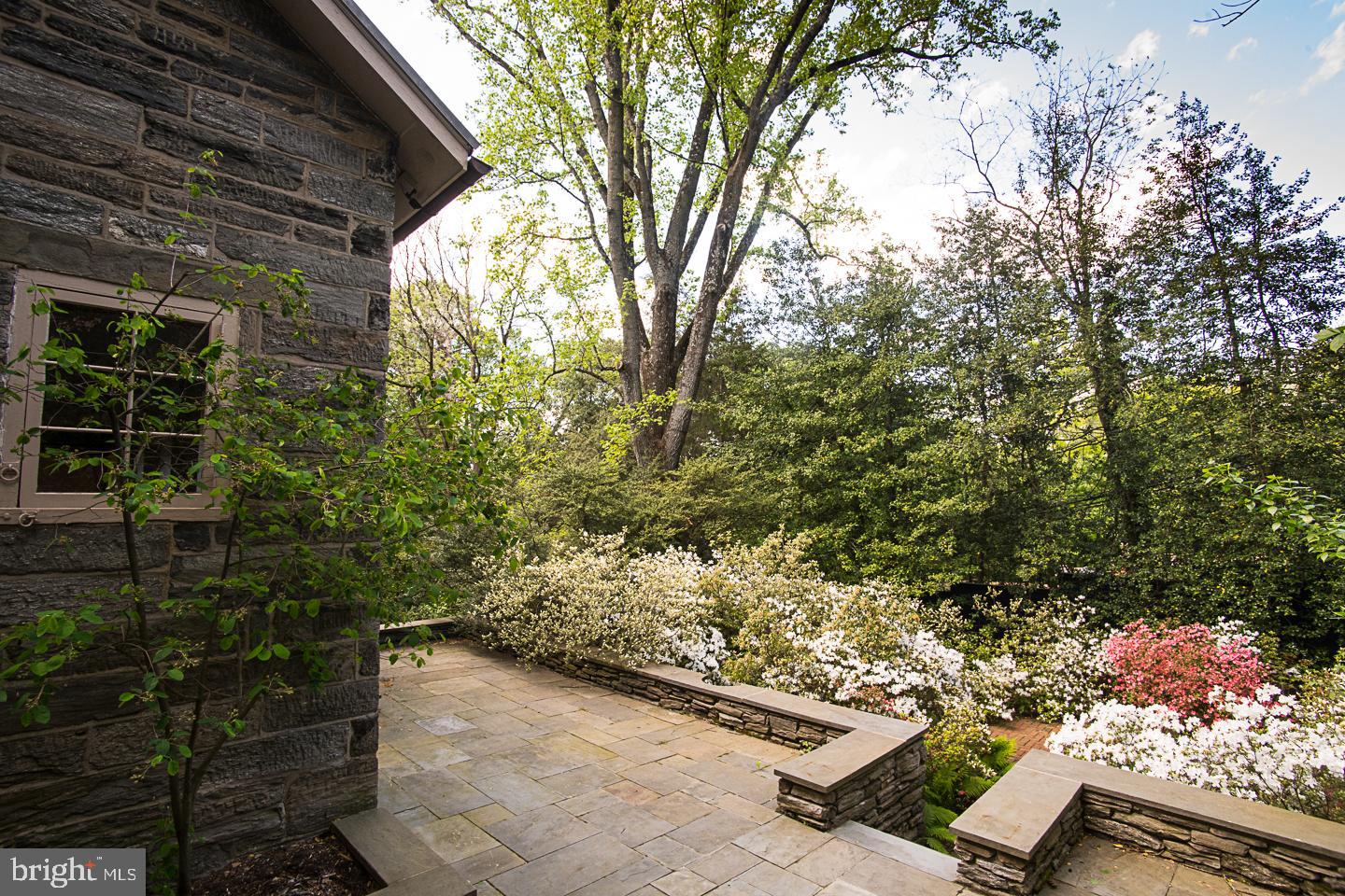 CHESTNUT HILL - Residential