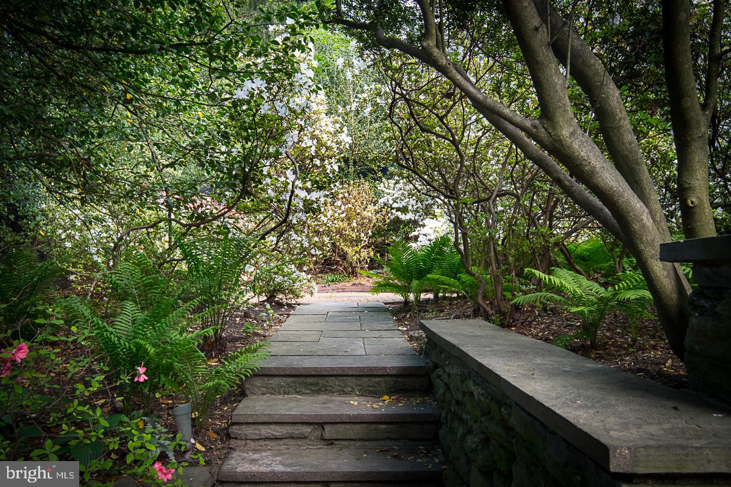 CHESTNUT HILL - Residential