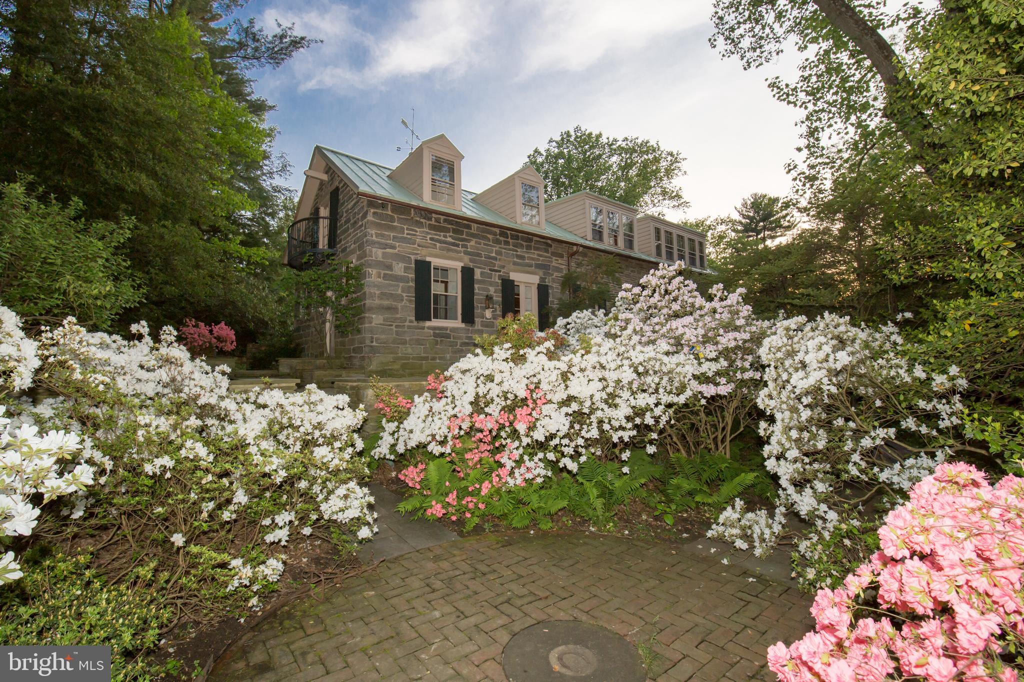 CHESTNUT HILL - Residential