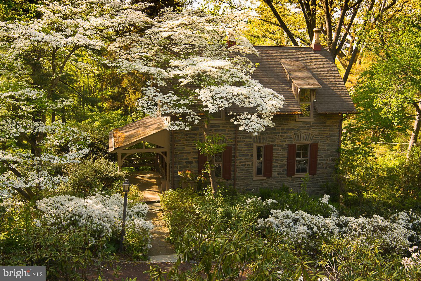 CHESTNUT HILL - Residential