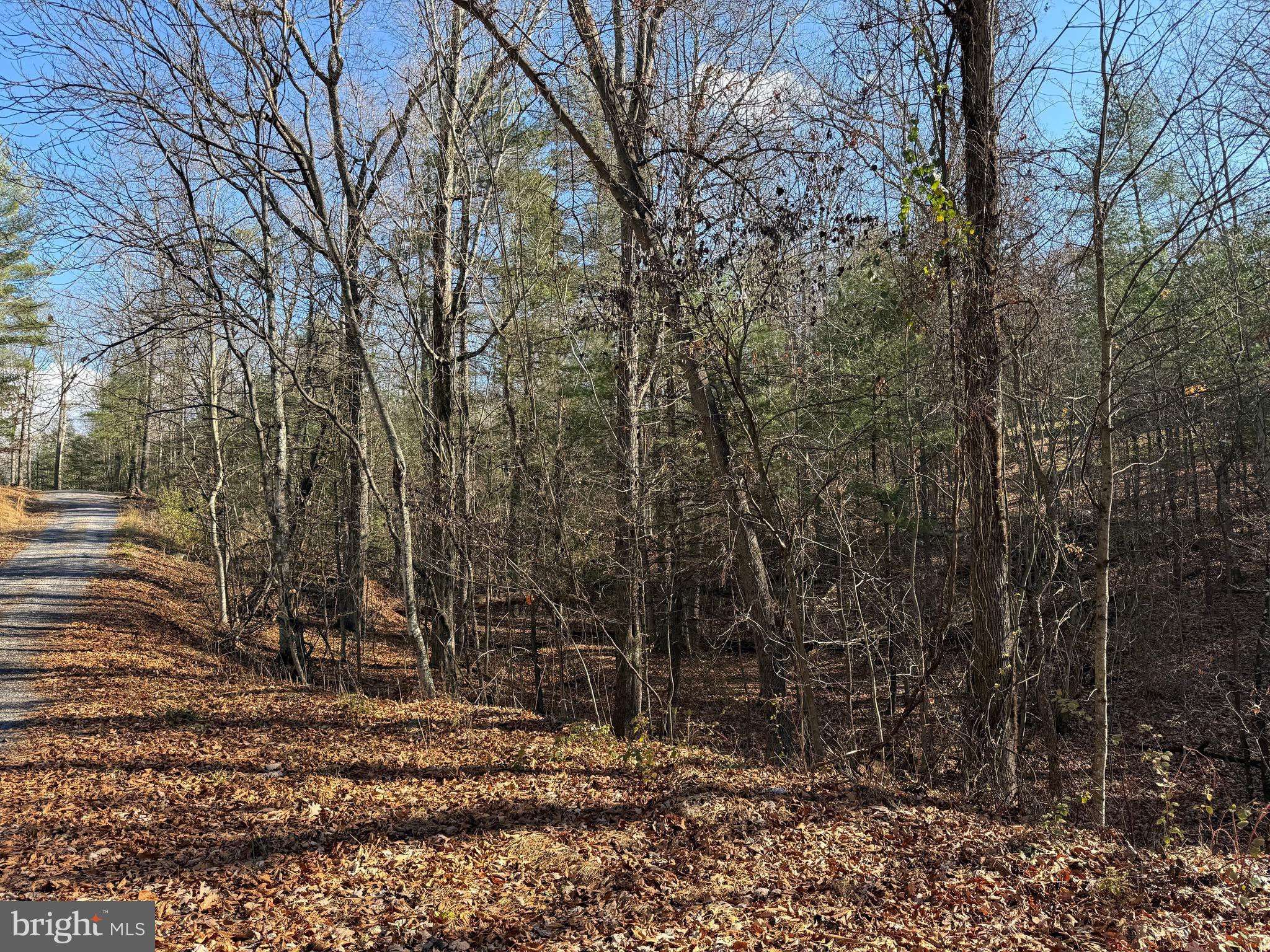 CHESTNUT GROVE - Land