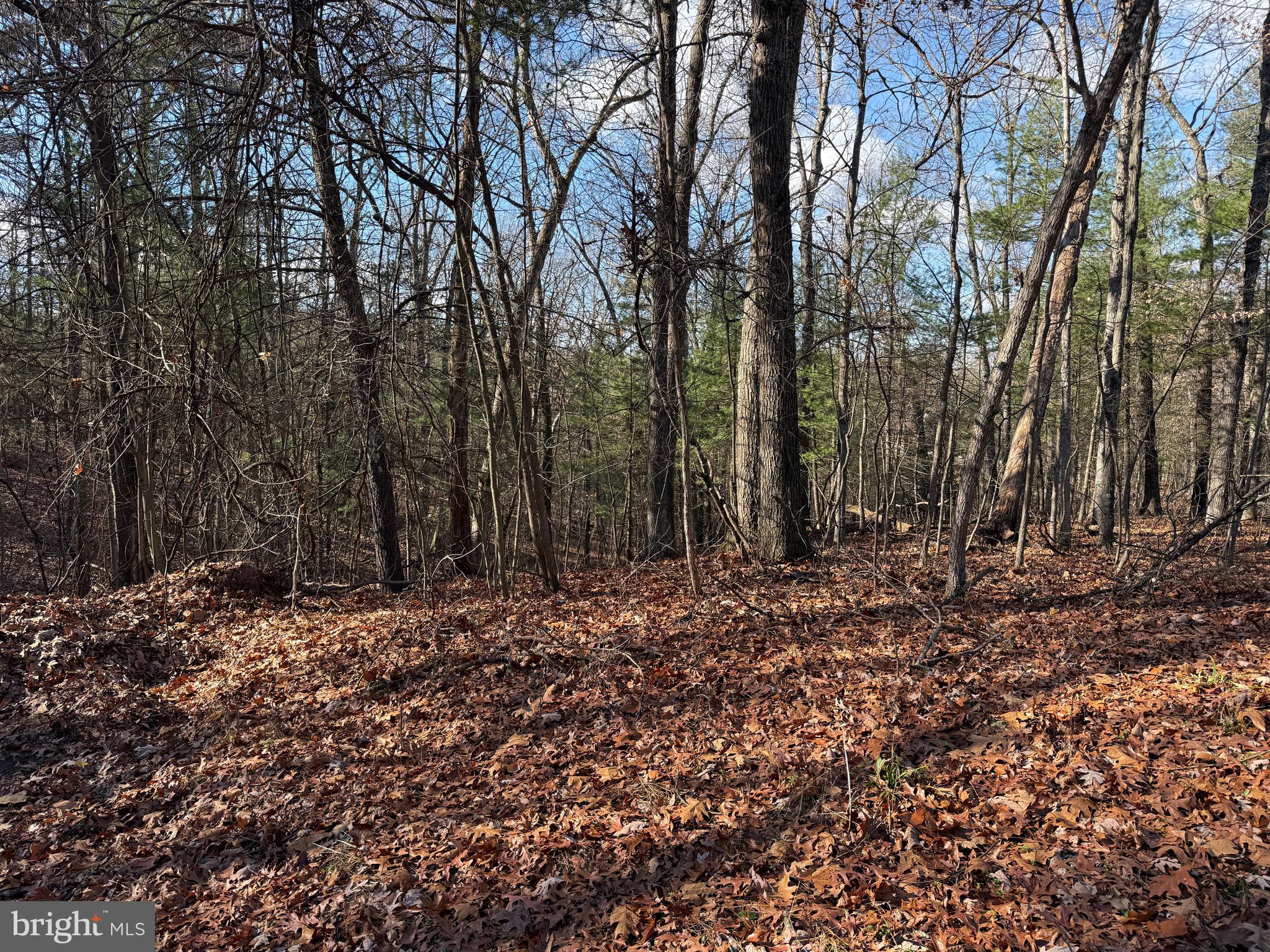 CHESTNUT GROVE - Land