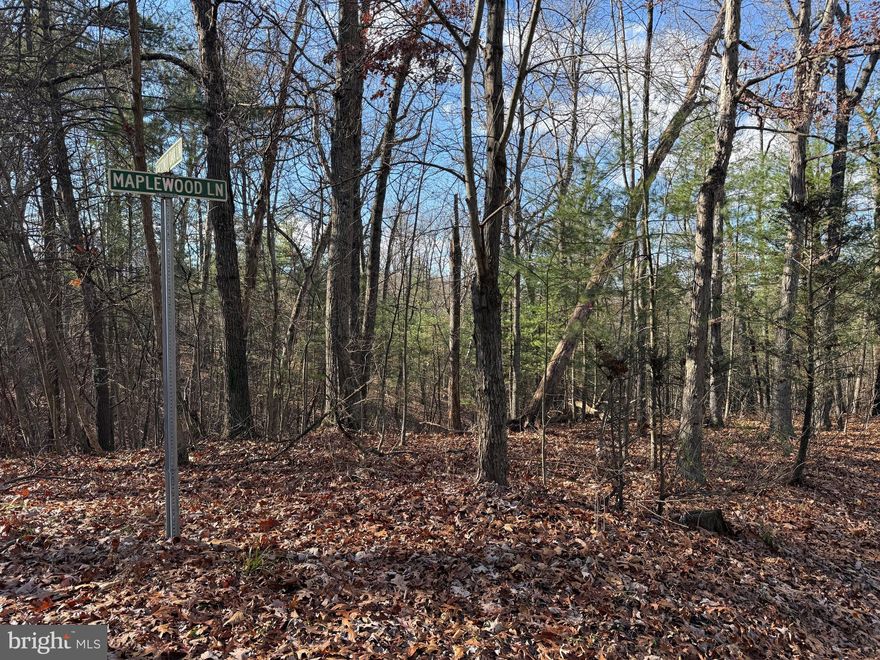 Make this your building site!  2.00 wooded acres situated in Chestnut Oak Subdivision.   This lot is on the corner of two lanes making easy access for building.   Protective covenants do apply.   Road fee is $120 per year.