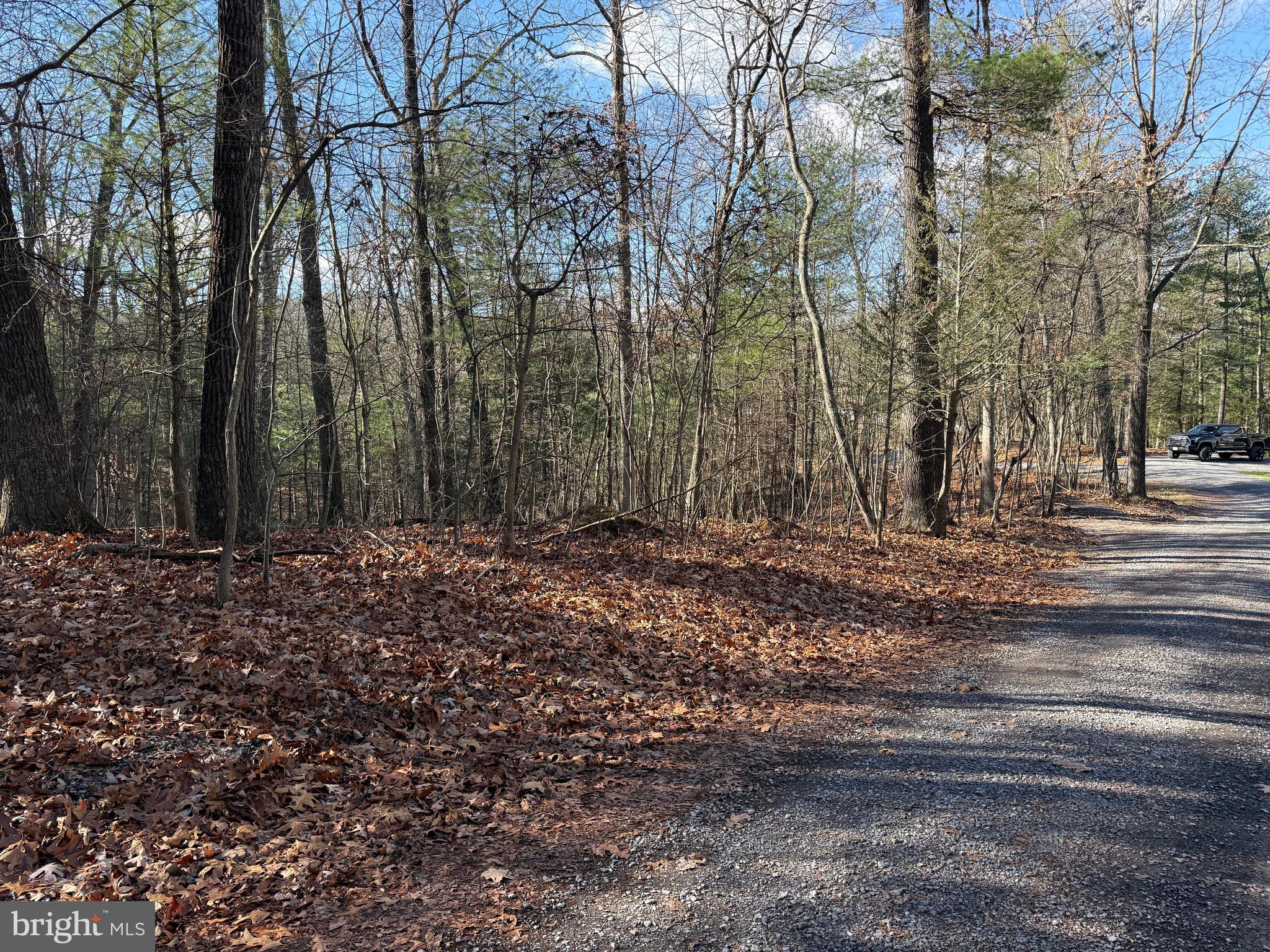 CHESTNUT GROVE - Land