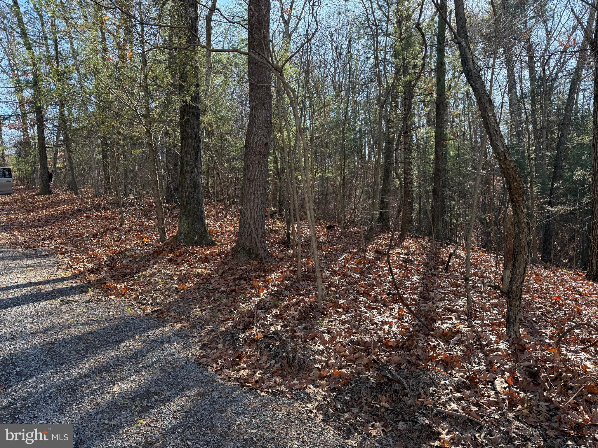 CHESTNUT GROVE - Land