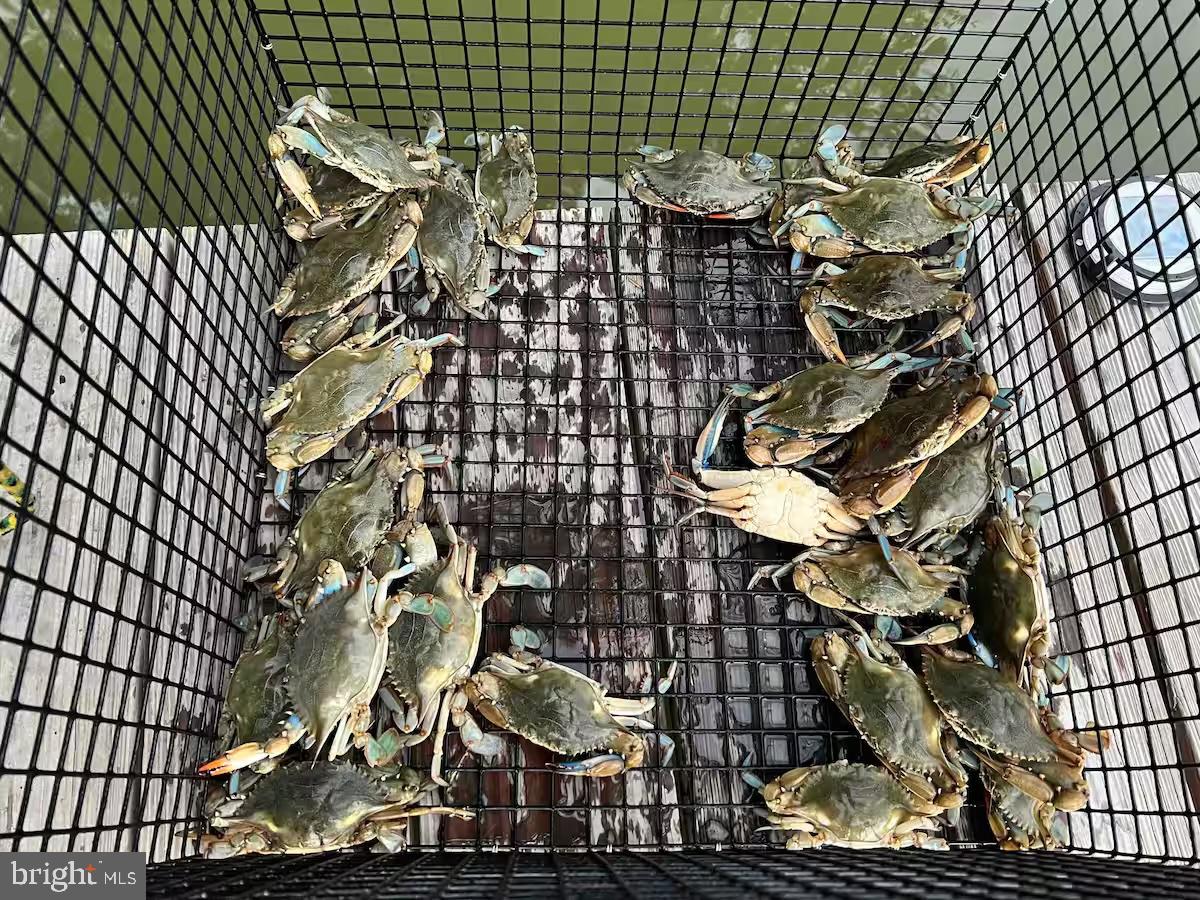 (NONE) - Residential