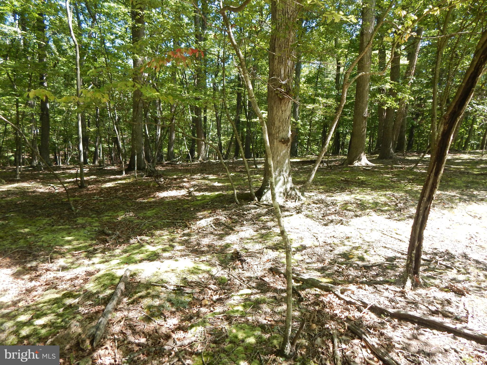 Wooded 5.61 acreage. Build your retreat or dream home. Nicely maintained common area on the Cacapon River with BBQ pits, picnic tables & bath house. Gated access offers you added comfort. HOA has a website.
High-speed fiberoptic internet access available. Approx. 26 minutes to Berkeley Springs WV.