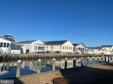 37819 SWANN DRIVE SELBYVILLE DE 19975