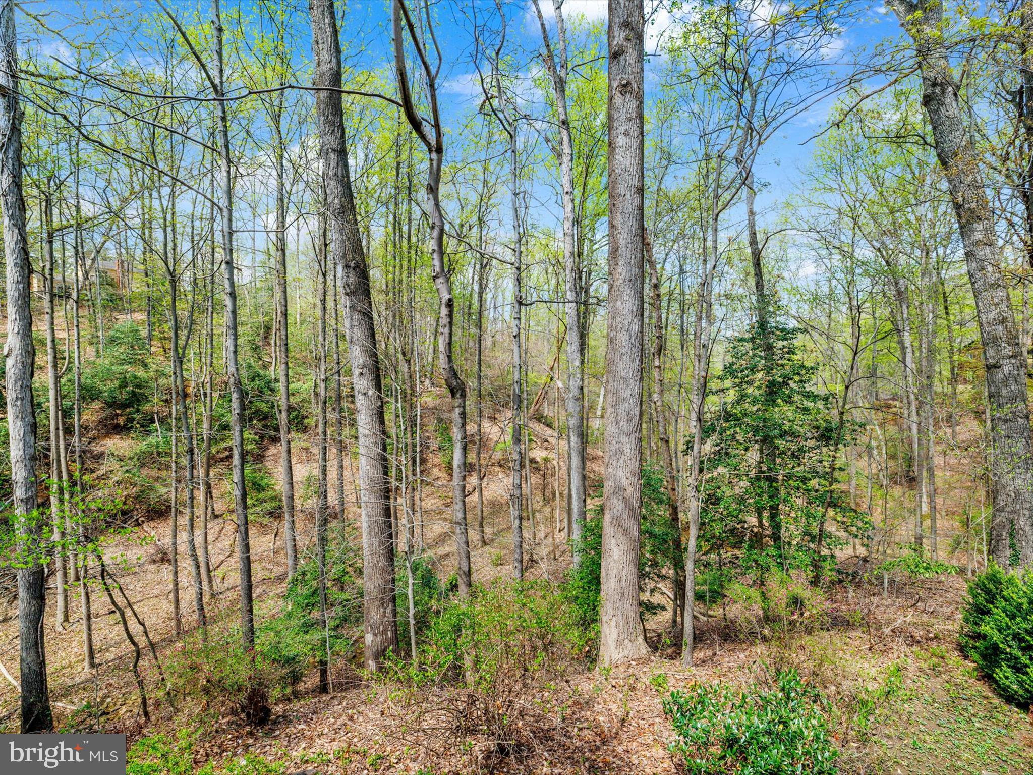 SALTWORKS ON SEVERN - Residential