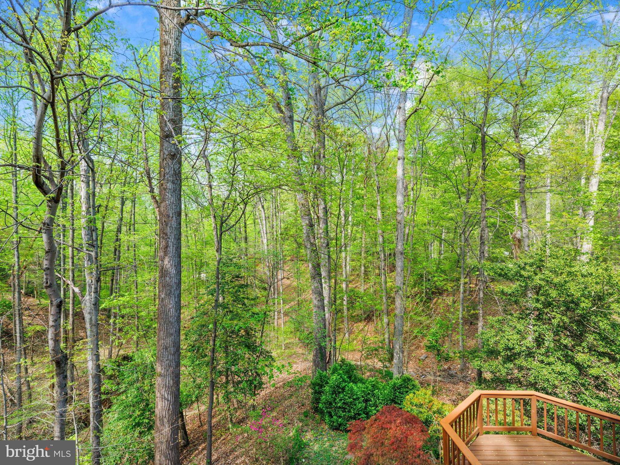 SALTWORKS ON SEVERN - Residential