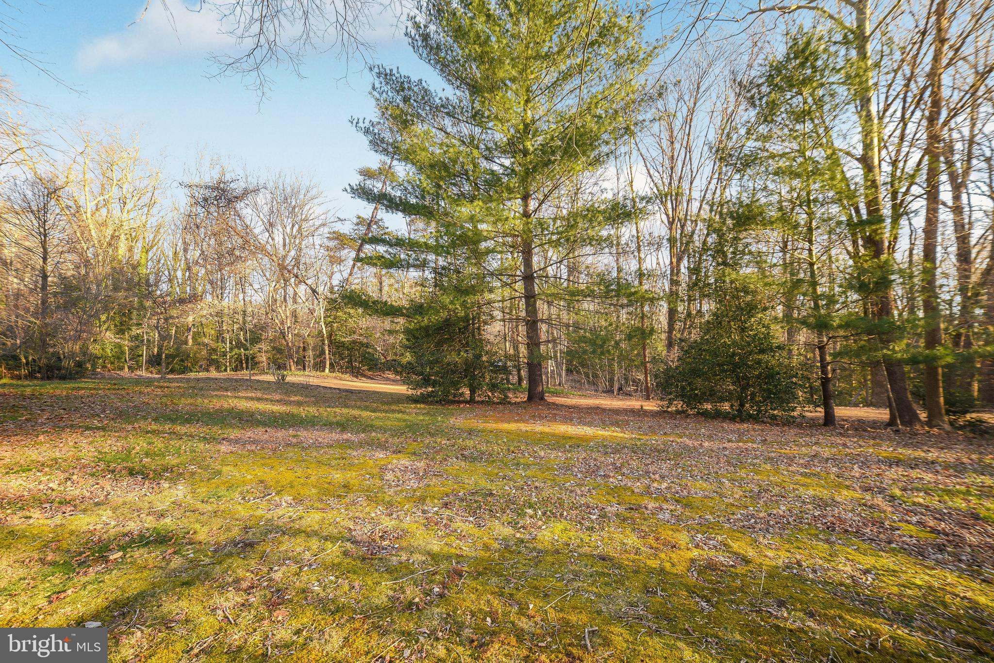 DRUM CLIFFS - Residential