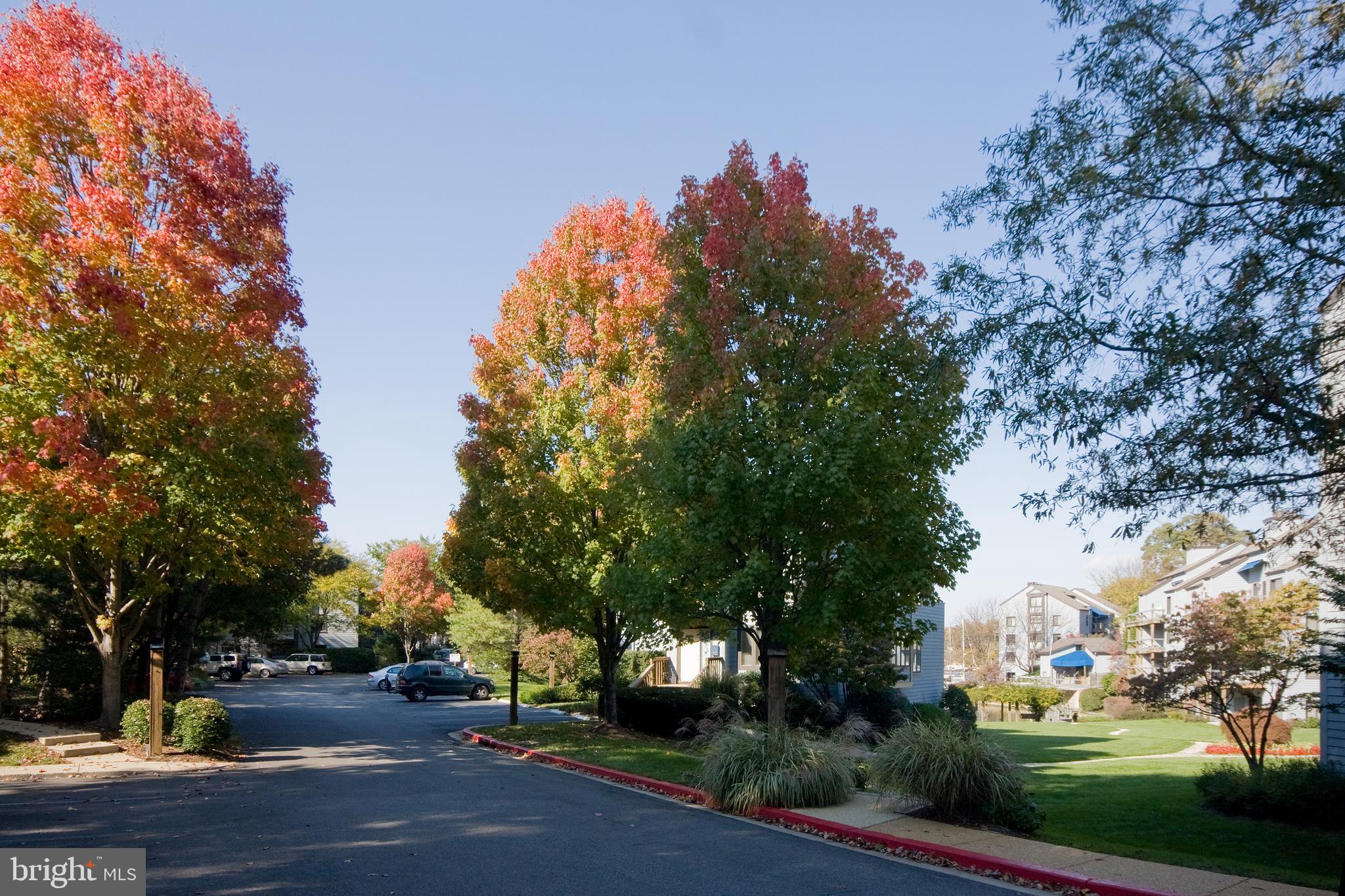 SHEARWATER - Residential