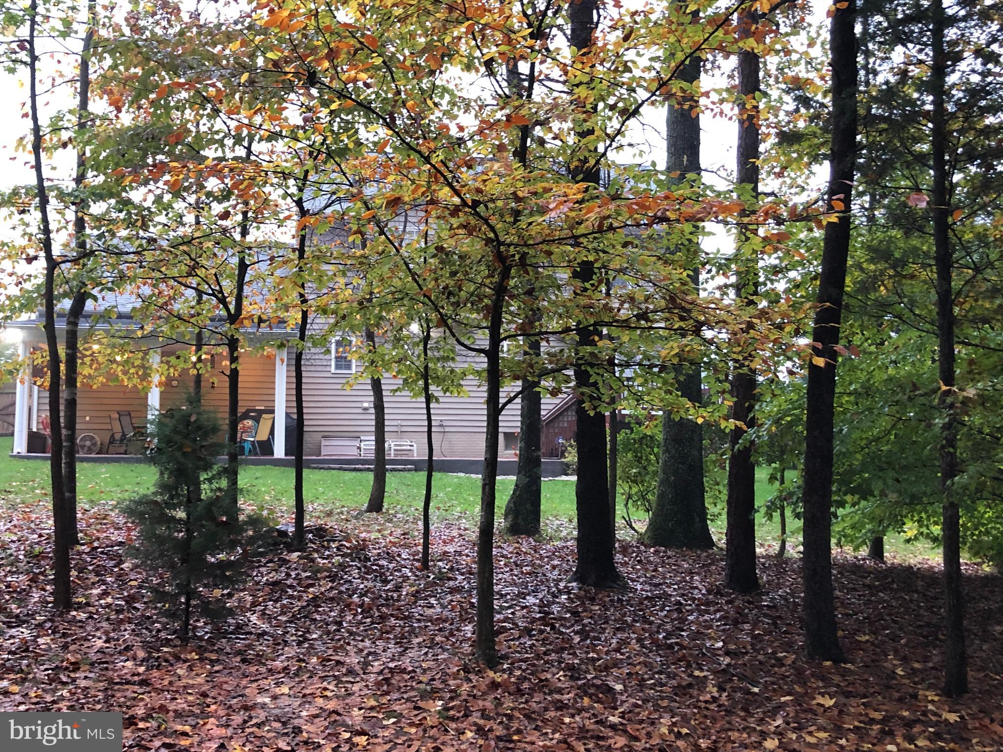 COVENTRY MEADOWS - Residential