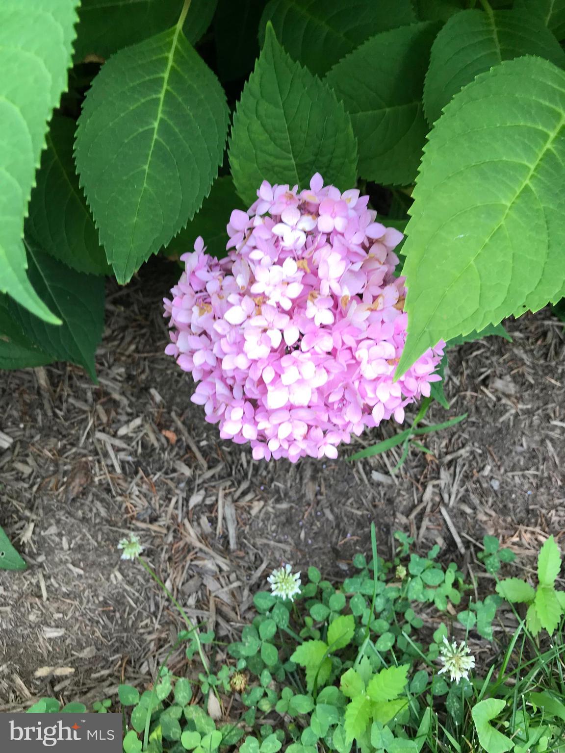 HISTORIC HARPERS FERRY - Residential