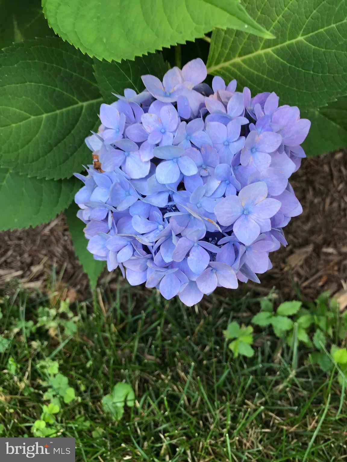 HISTORIC HARPERS FERRY - Residential